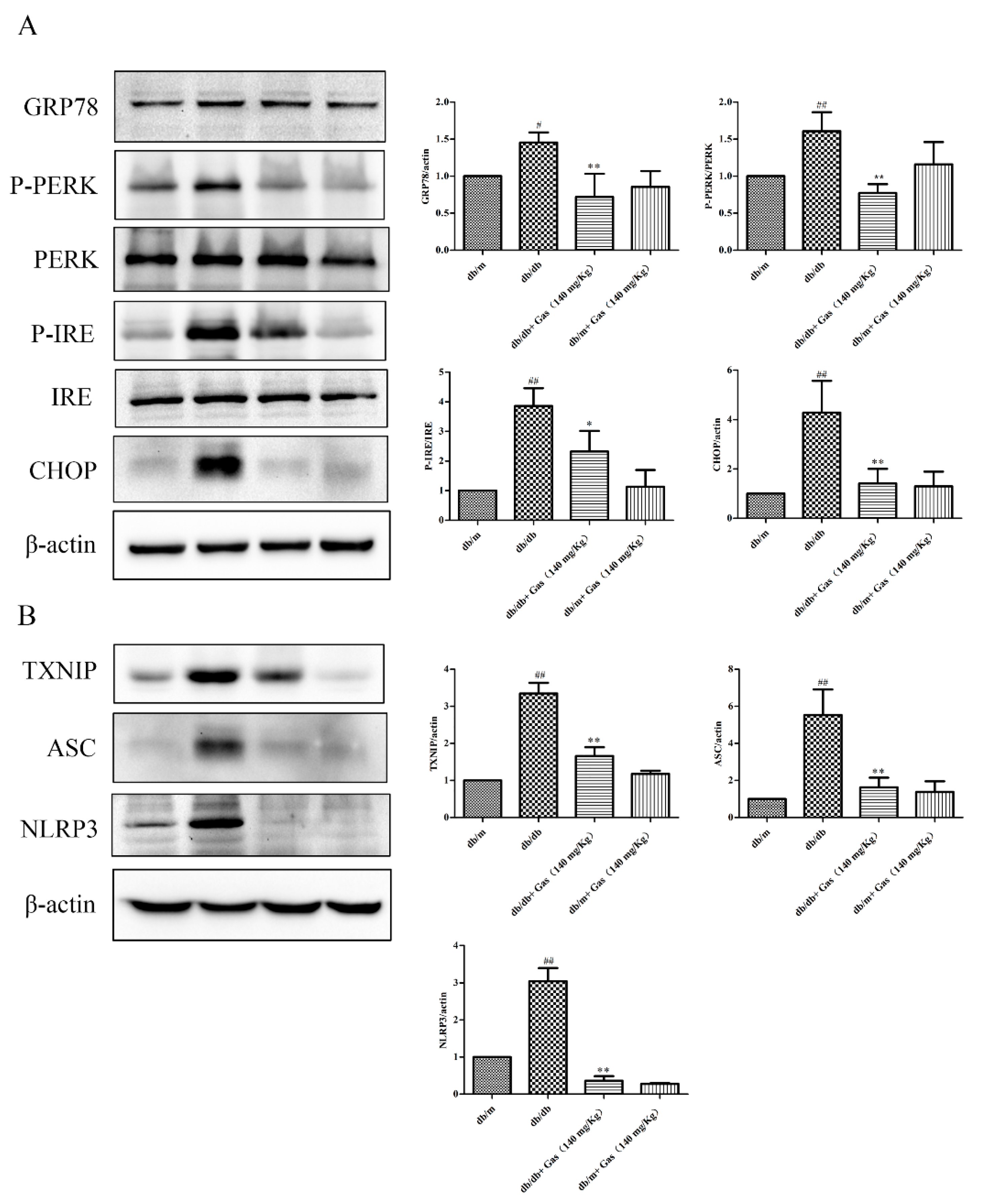 Ijms 19 03977 g008 Ijms 19 03977 g008