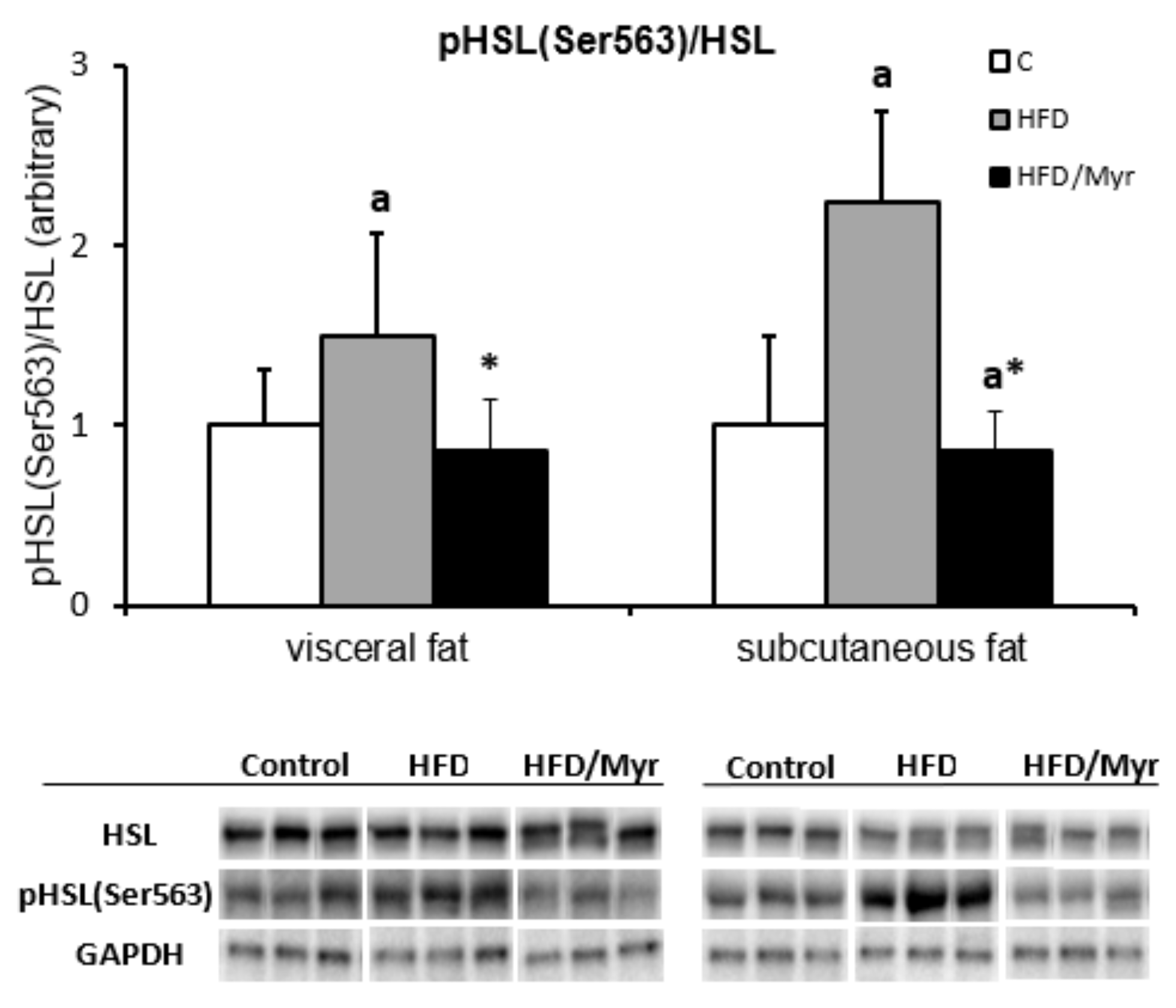 Ijms 19 03995 g002 Ijms 19 03995 g002