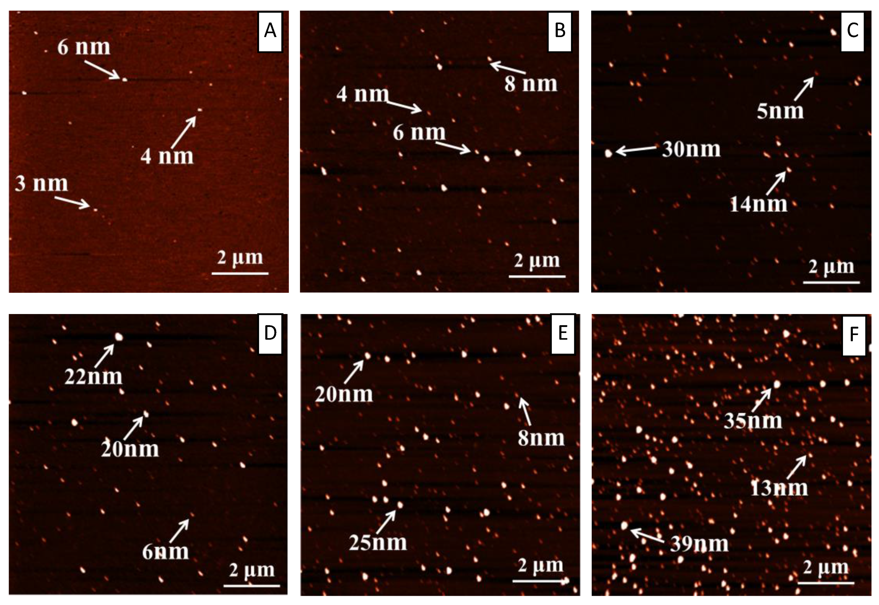 Ijms 19 04009 g003 Ijms 19 04009 g003