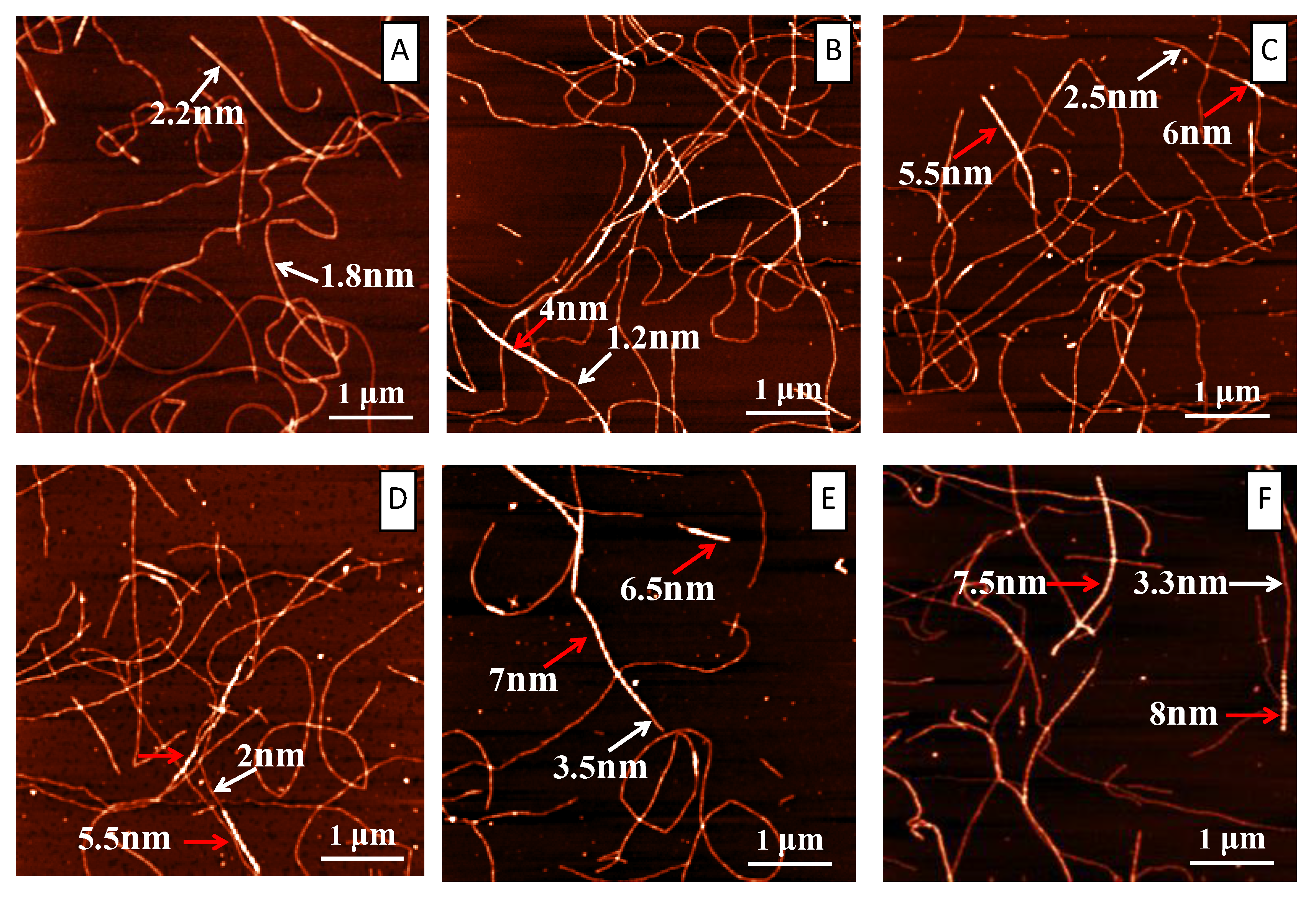 Ijms 19 04009 g004 Ijms 19 04009 g004