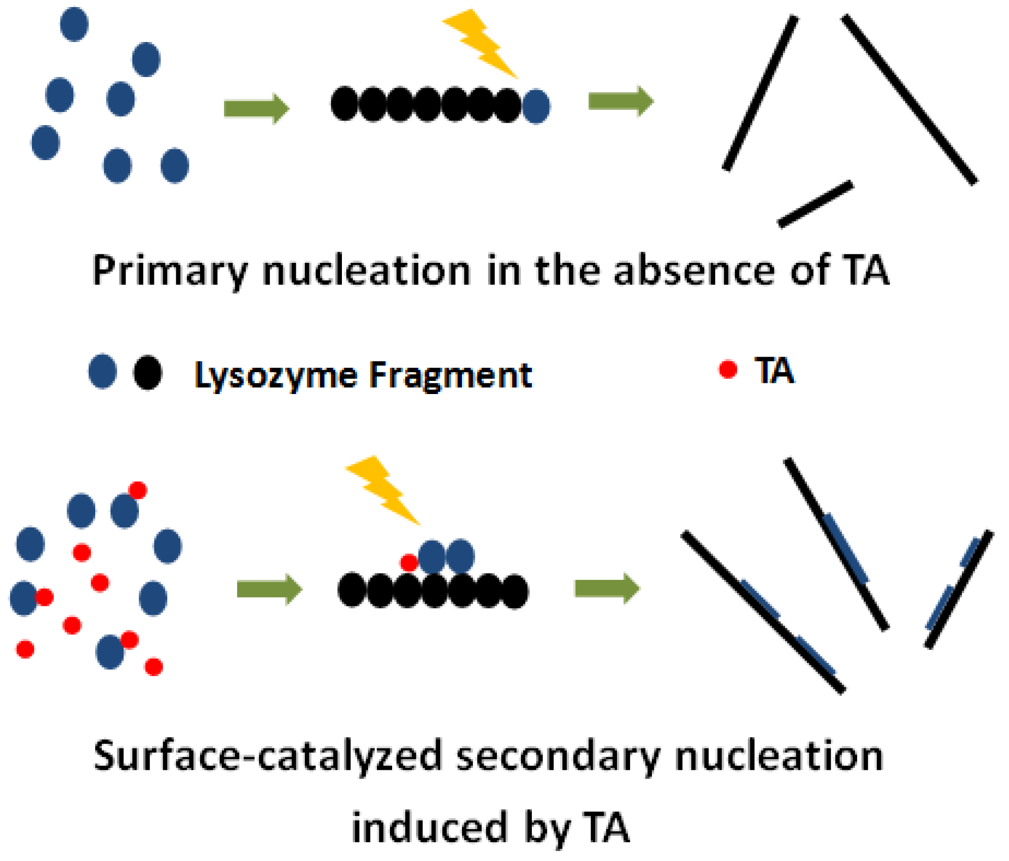 Ijms 19 04009 g005 Ijms 19 04009 g005