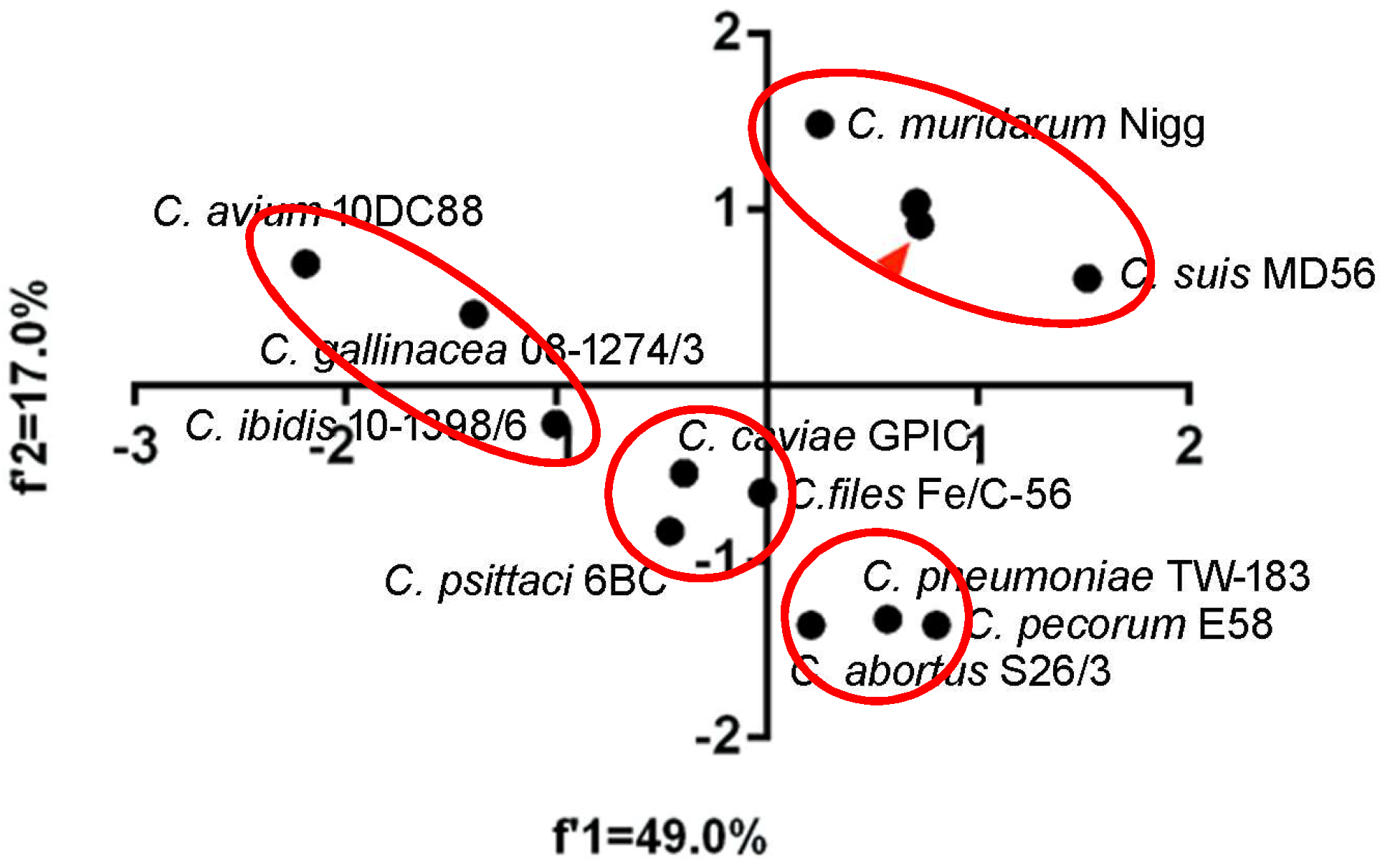 Ijms 19 04010 g002 Ijms 19 04010 g002