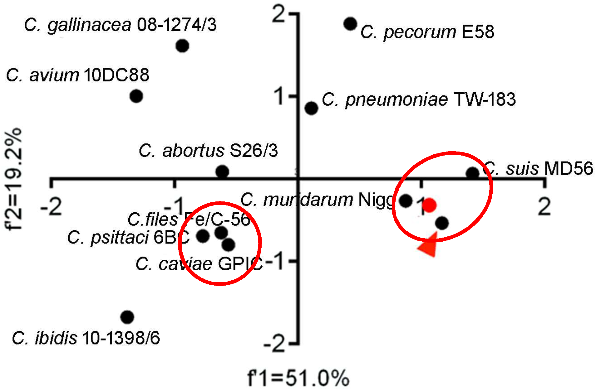 Ijms 19 04010 g003 Ijms 19 04010 g003