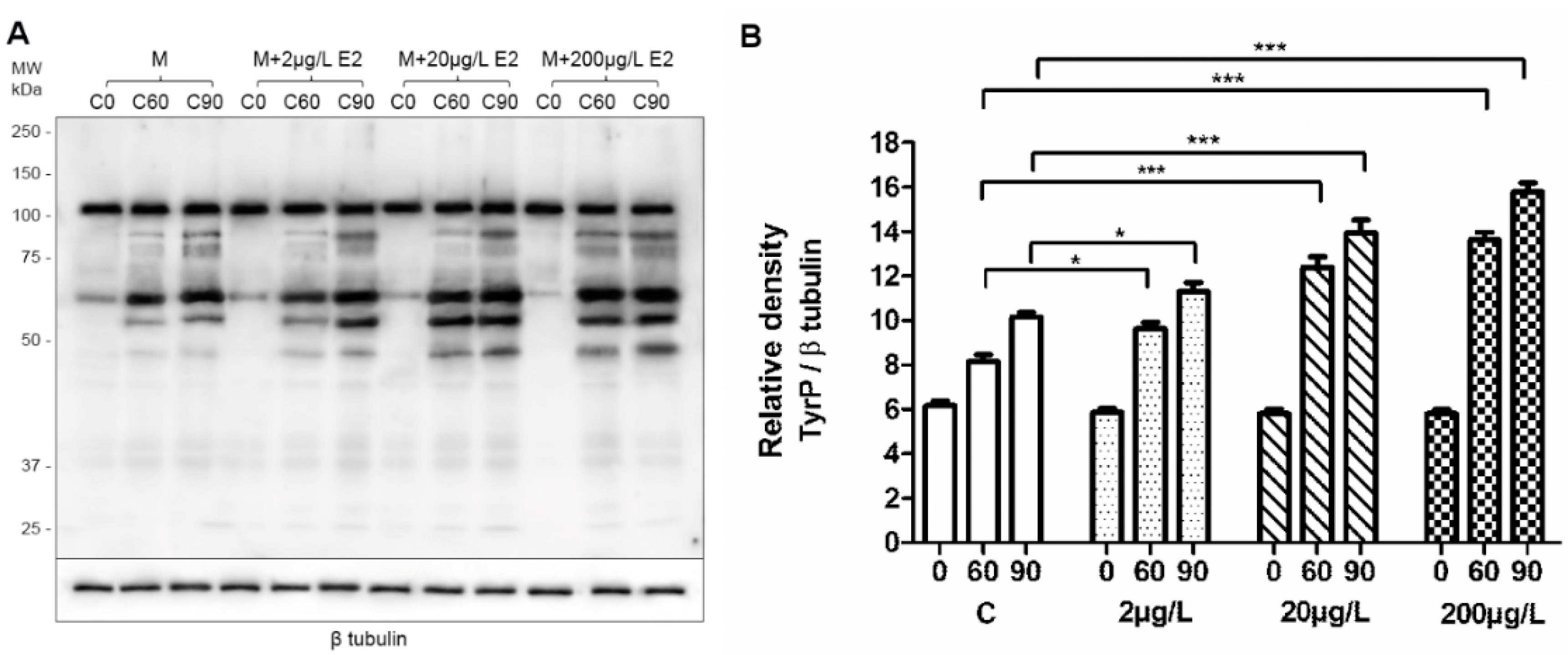 Ijms 19 04011 g003 Ijms 19 04011 g003