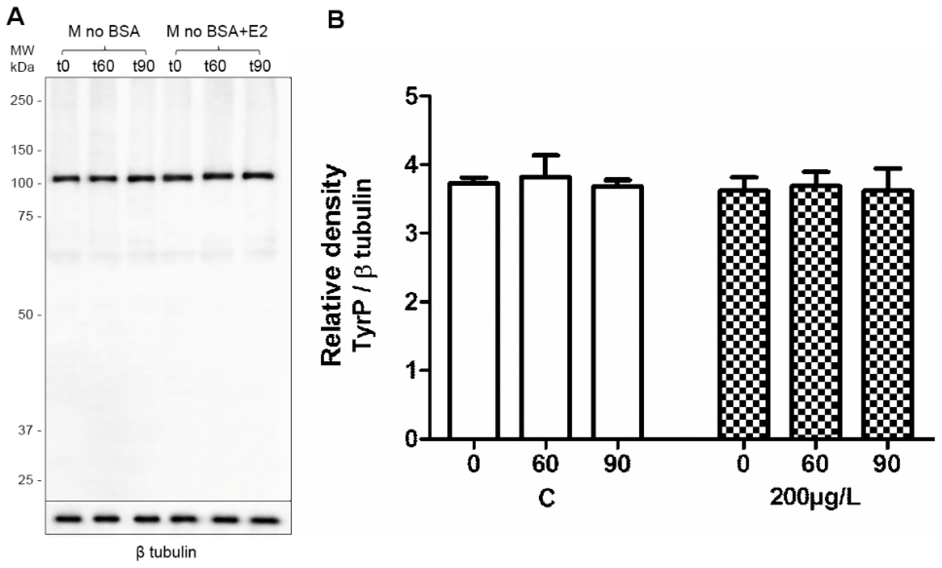 Ijms 19 04011 g004 Ijms 19 04011 g004