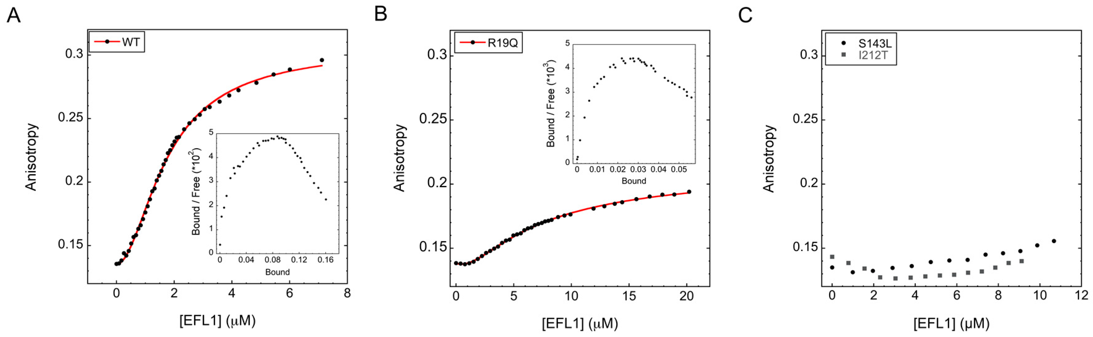 Ijms 19 04012 g001 Ijms 19 04012 g001
