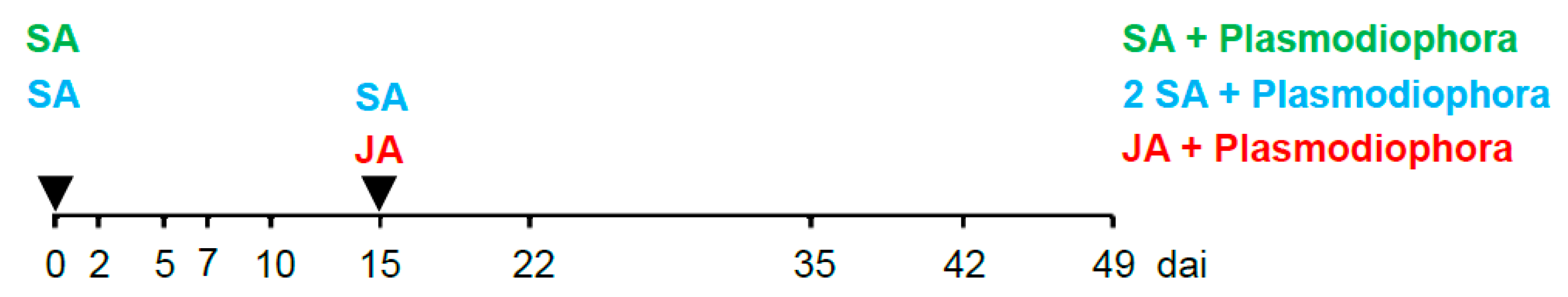 Ijms 19 04024 g001 Ijms 19 04024 g001