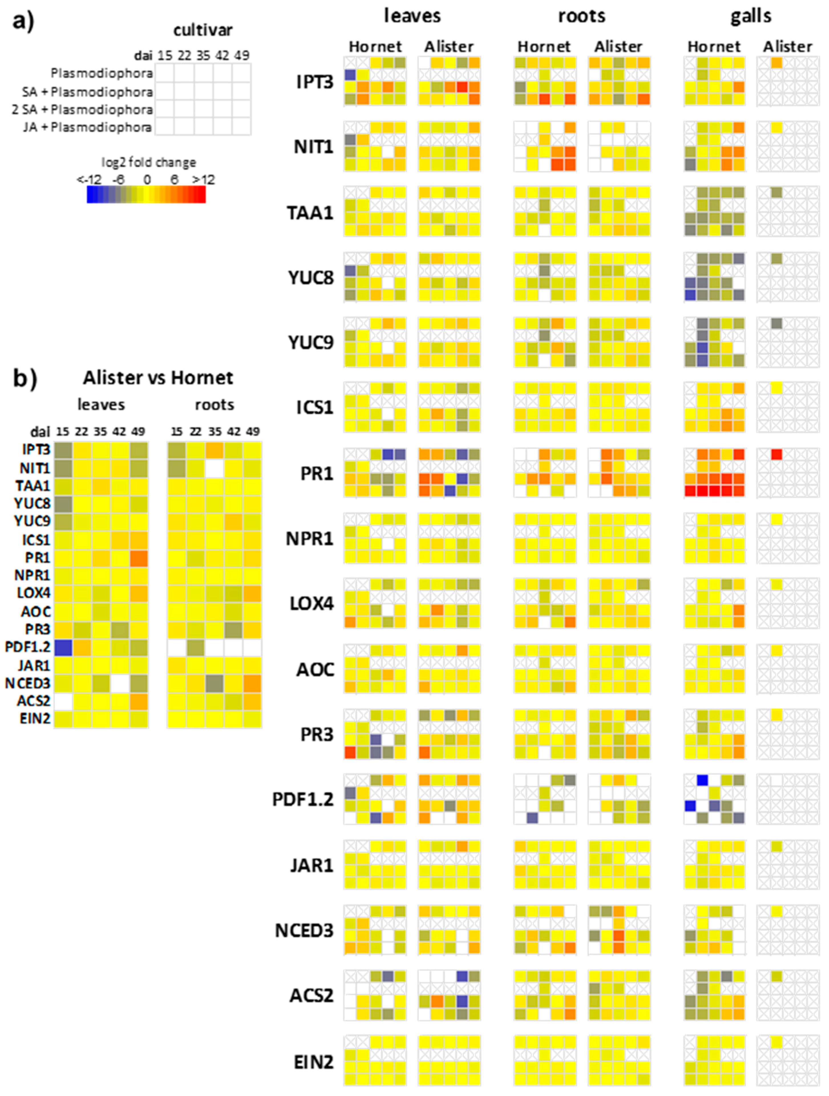 Ijms 19 04024 g007 Ijms 19 04024 g007