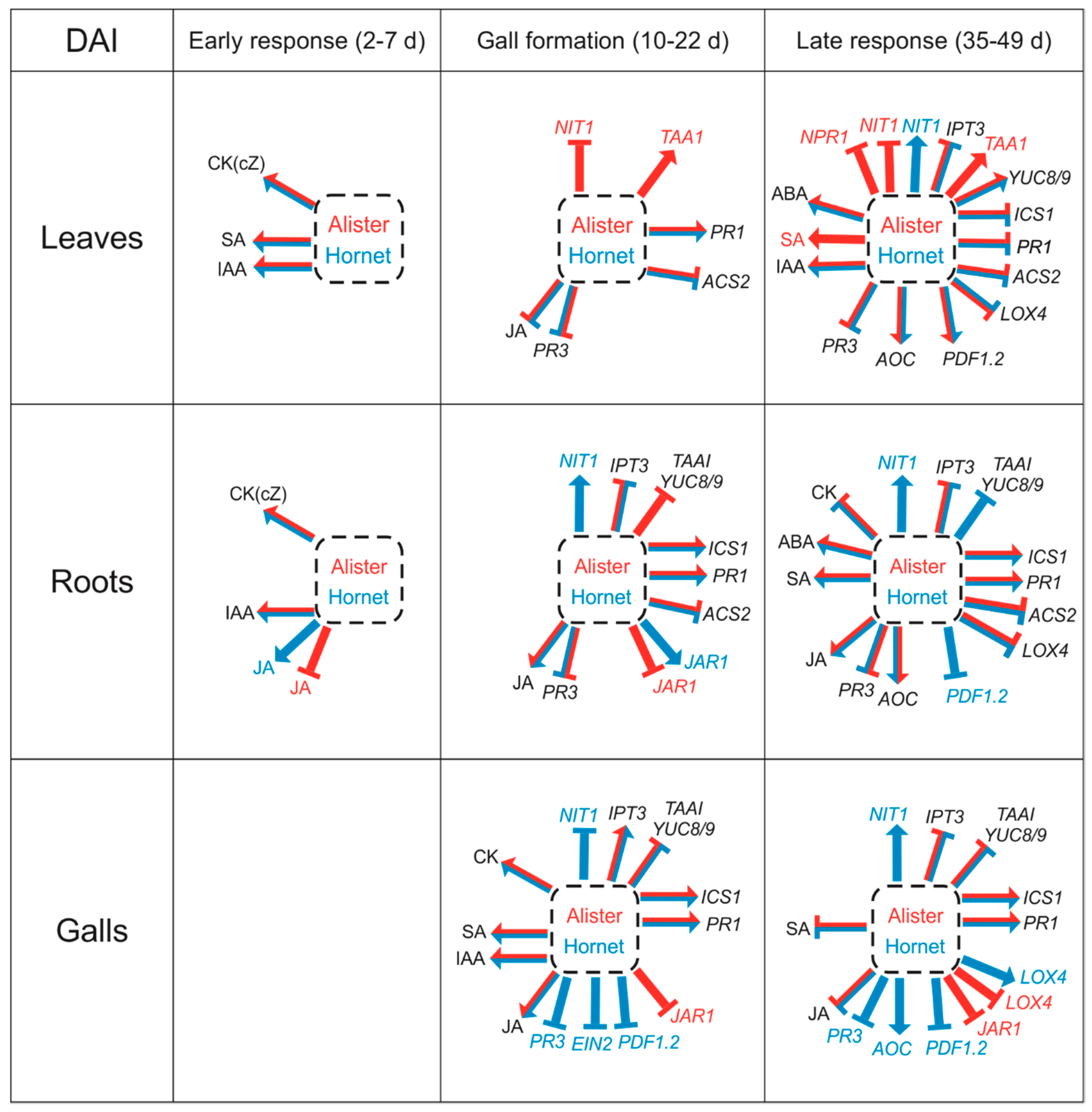 Ijms 19 04024 g008 Ijms 19 04024 g008
