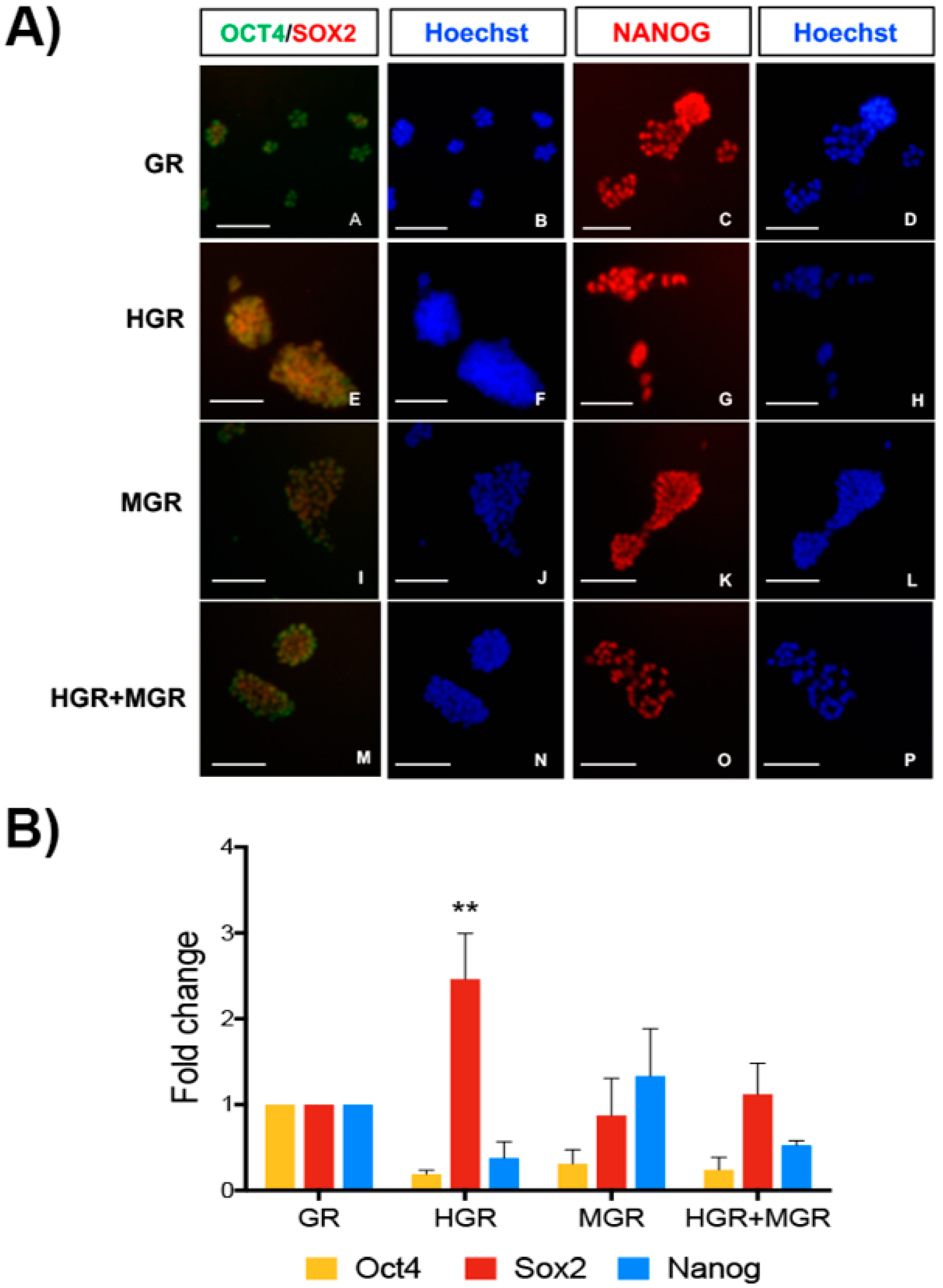 Ijms 19 04025 g004