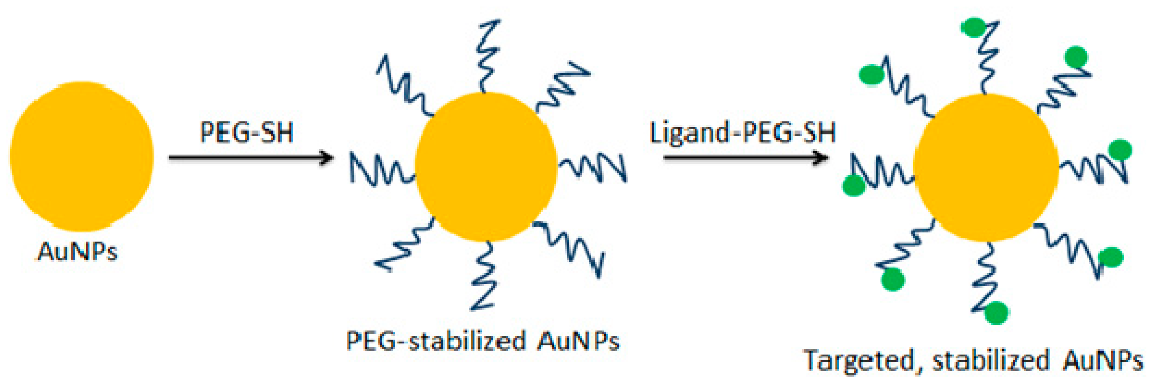 Ijms 19 04031 g002 Ijms 19 04031 g002