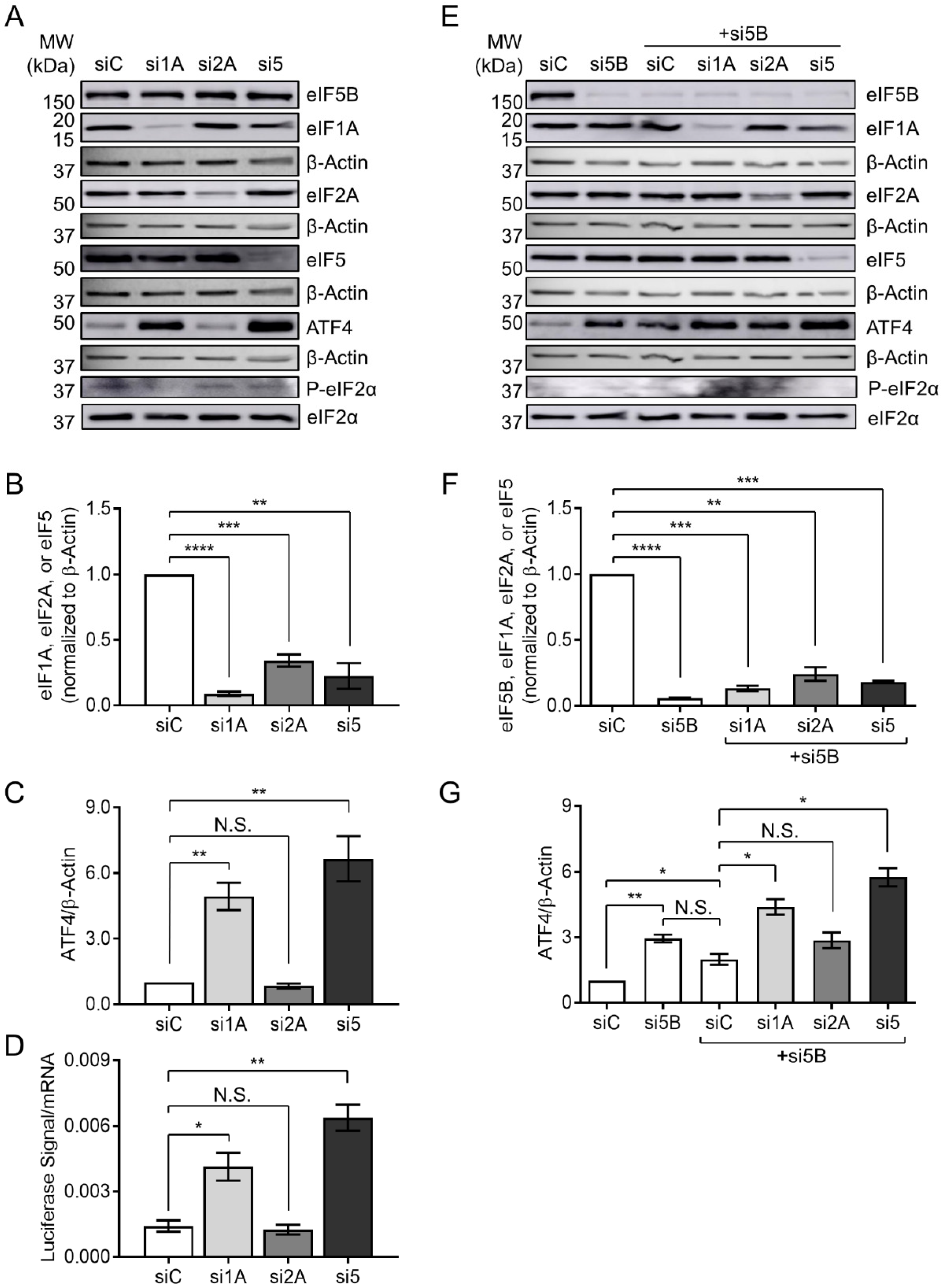 Ijms 19 04032 g004 Ijms 19 04032 g004