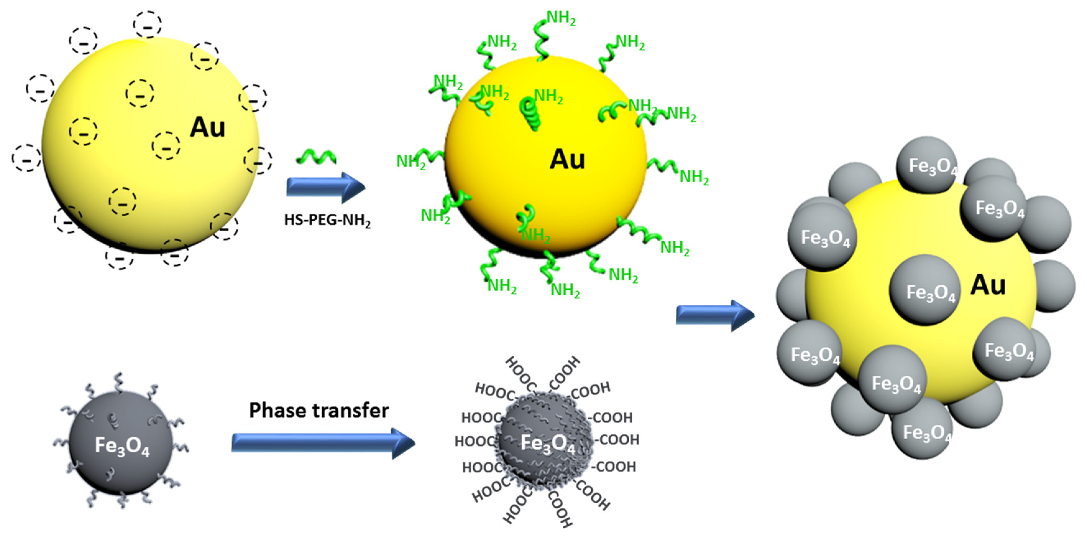 Ijms 19 04049 sch001