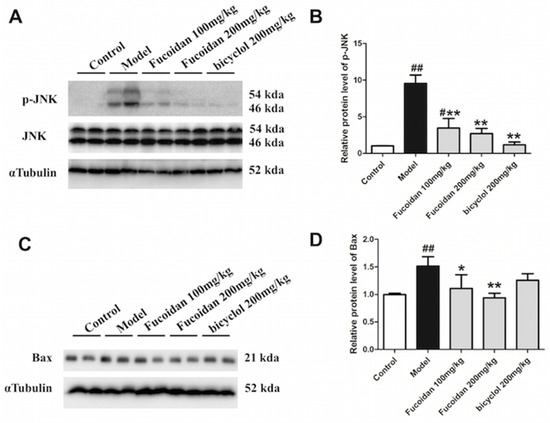 【。。。 】Order Page Fucoidan Alleviates Acetaminophen-Induced Hepatotoxicity via
