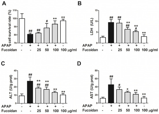 Fucoidan Alleviates Acetaminophen-Induced Hepatotoxicity via