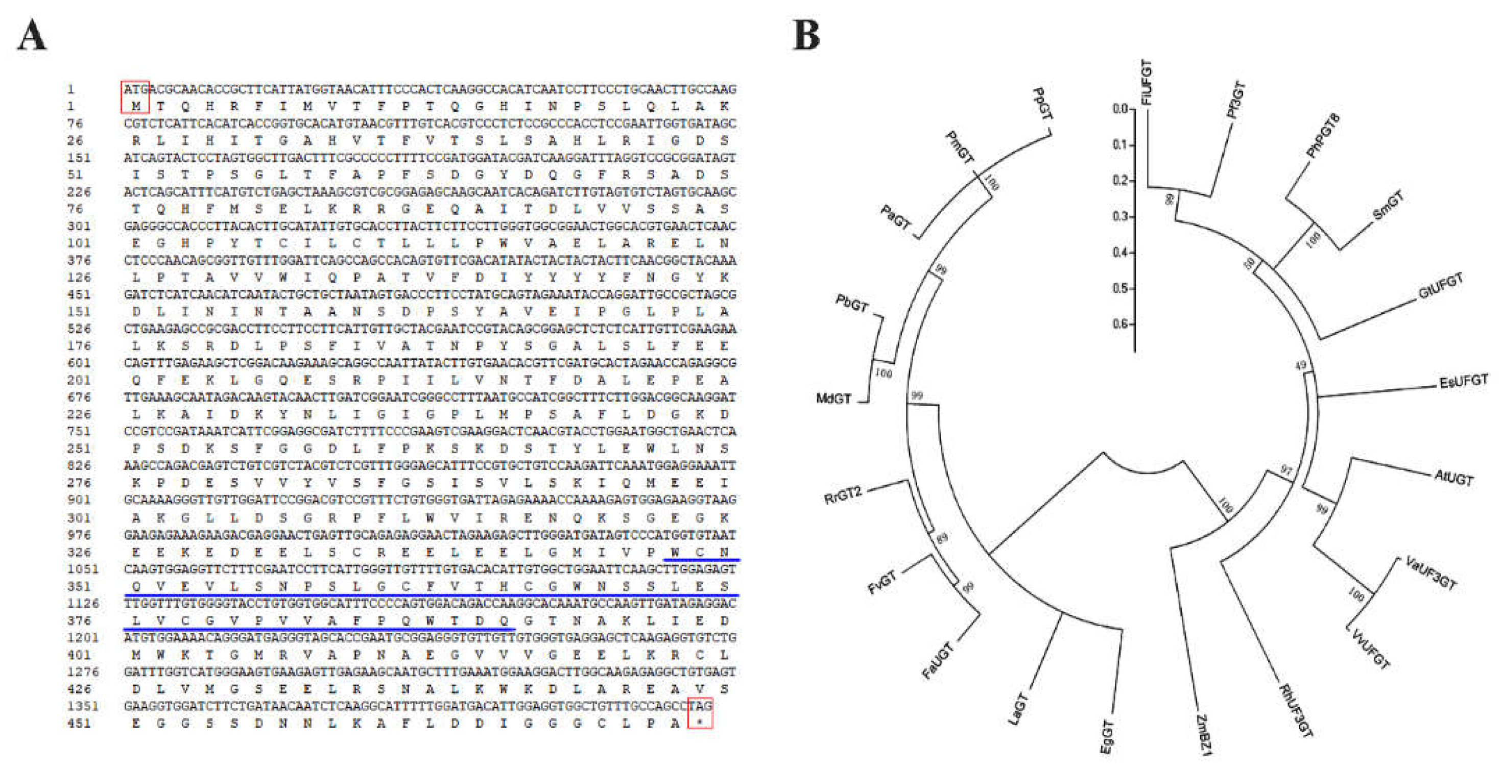 Ijms 19 04057 g001 Ijms 19 04057 g001