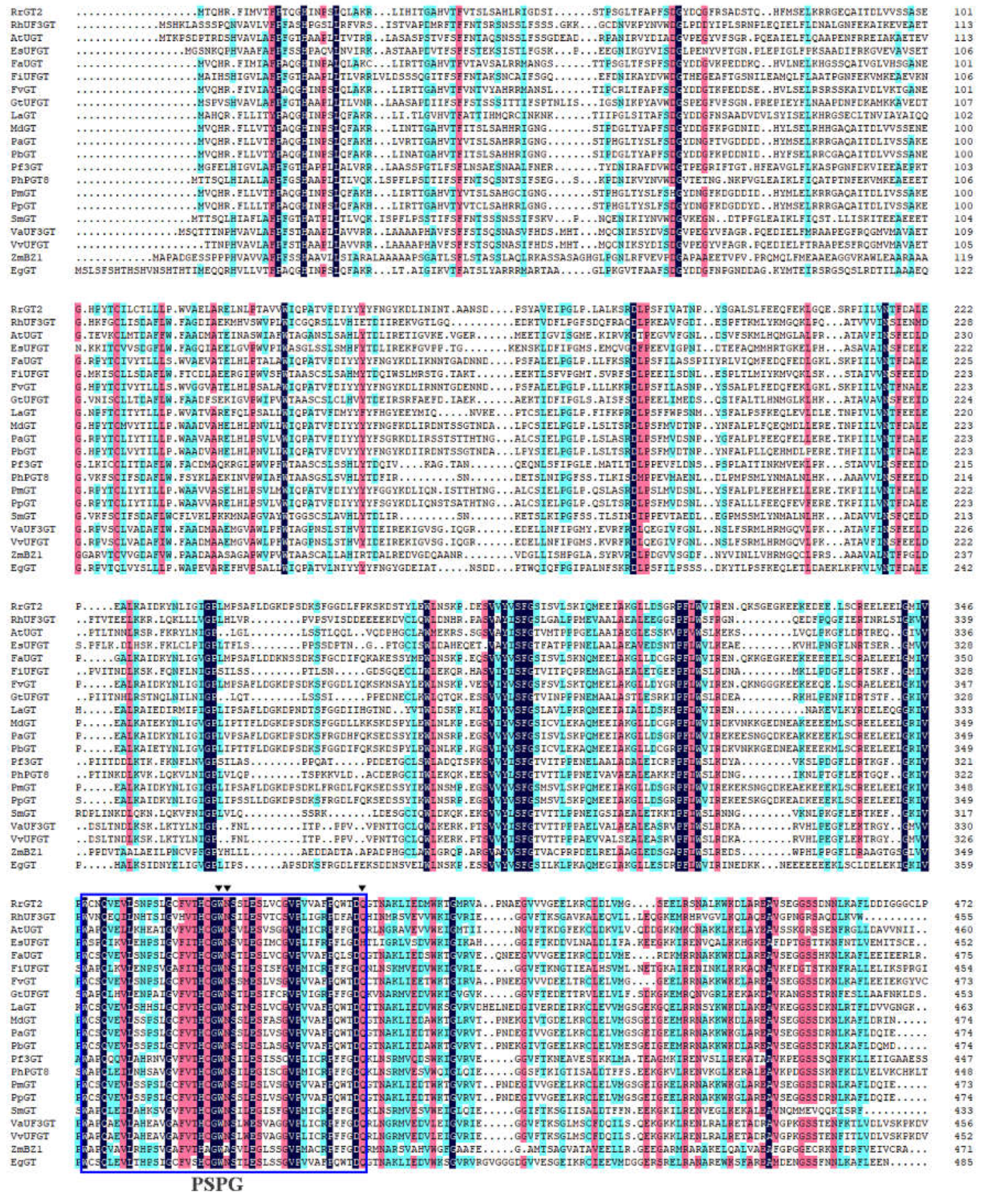 Ijms 19 04057 g002 Ijms 19 04057 g002