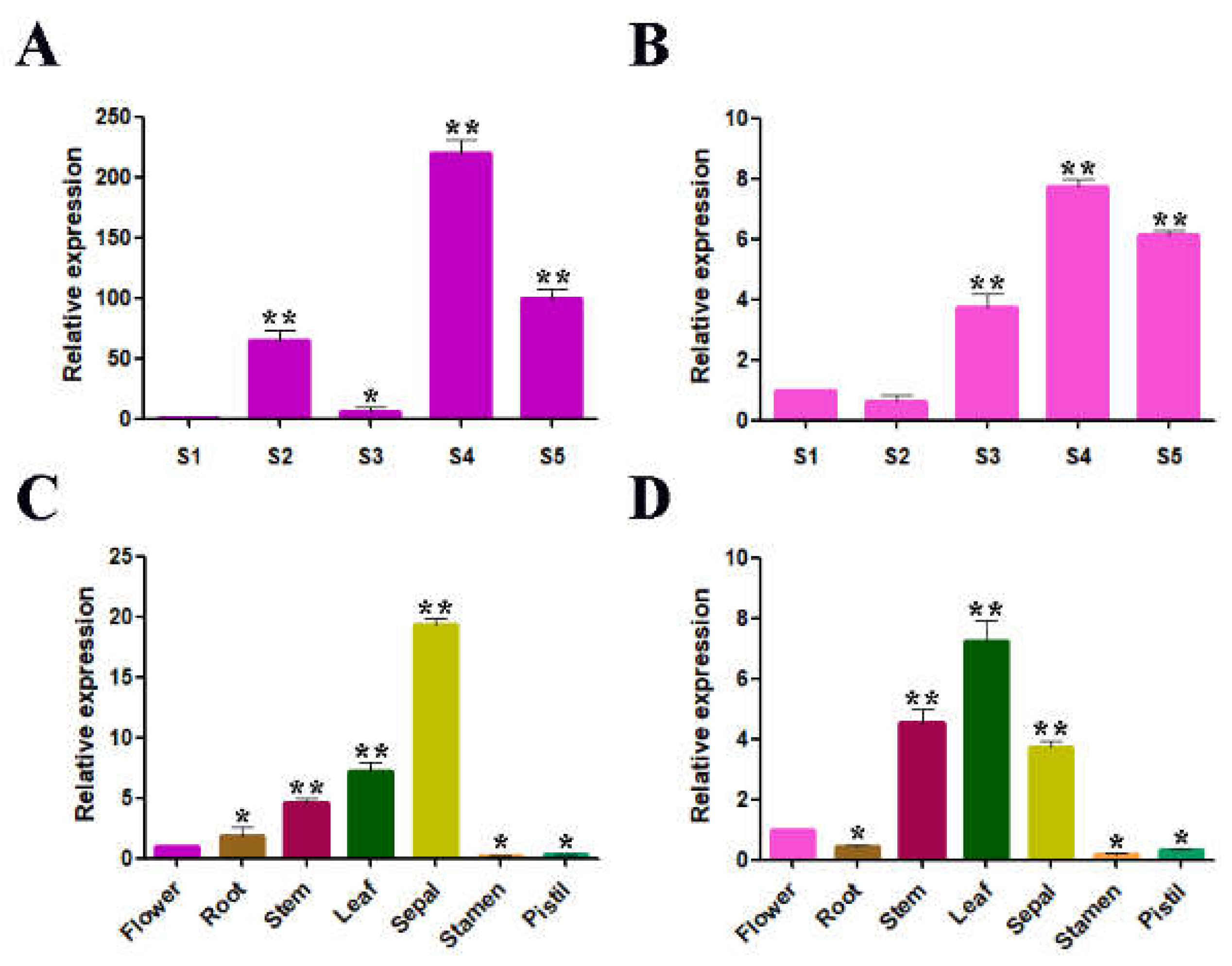 Ijms 19 04057 g003 Ijms 19 04057 g003