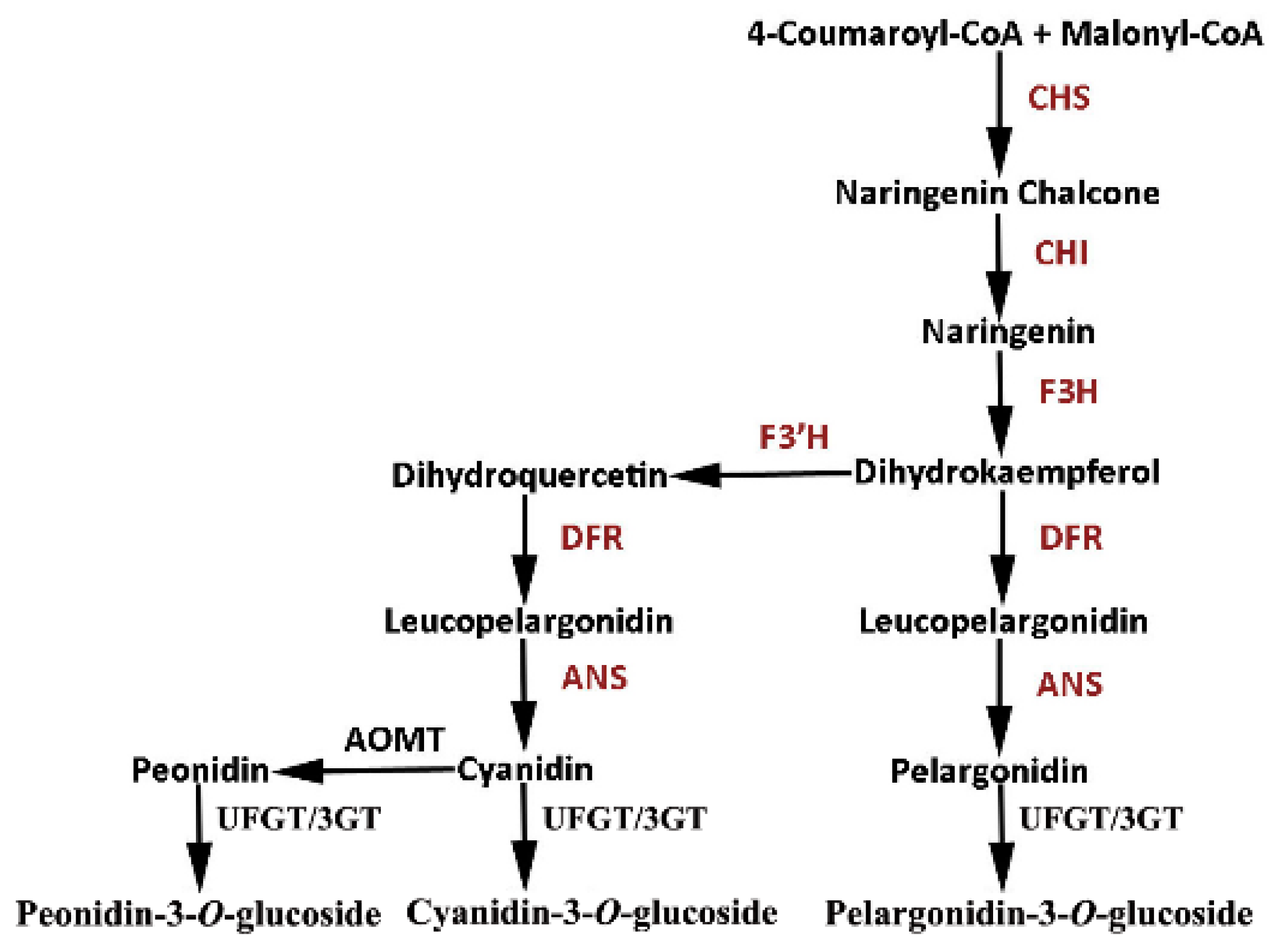 Ijms 19 04057 g006 Ijms 19 04057 g006