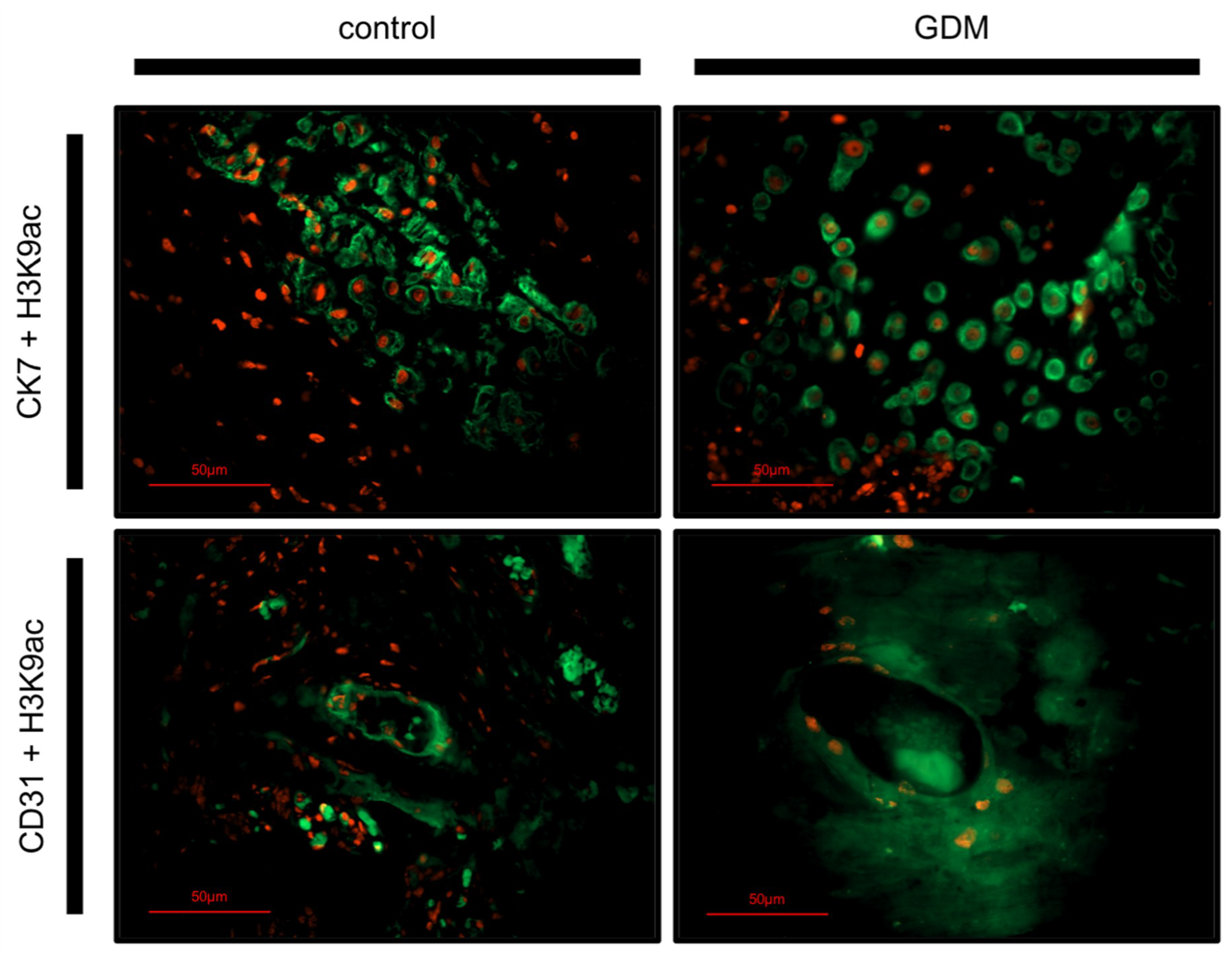 Ijms 19 04061 g002 Ijms 19 04061 g002