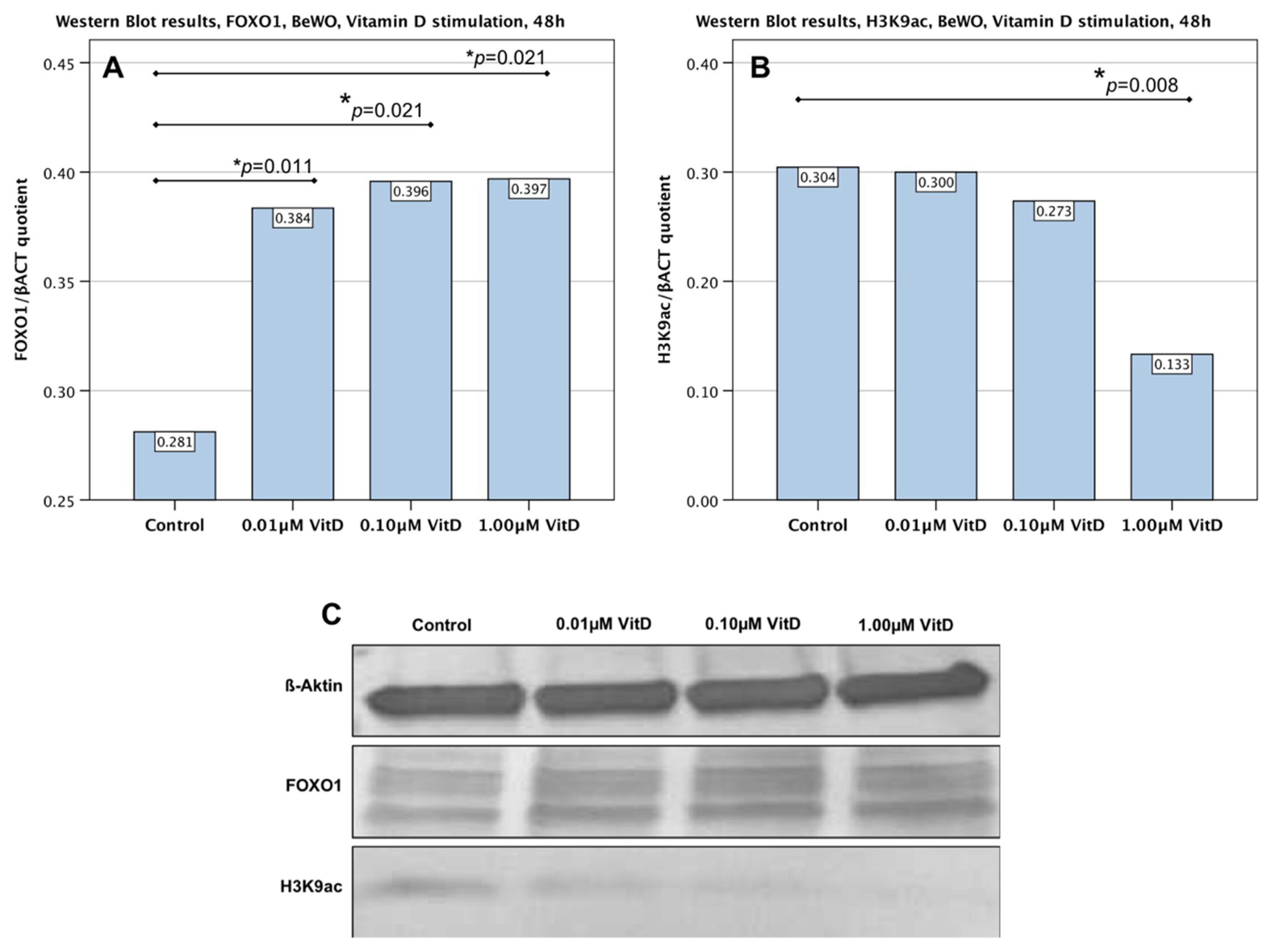 Ijms 19 04061 g003 Ijms 19 04061 g003