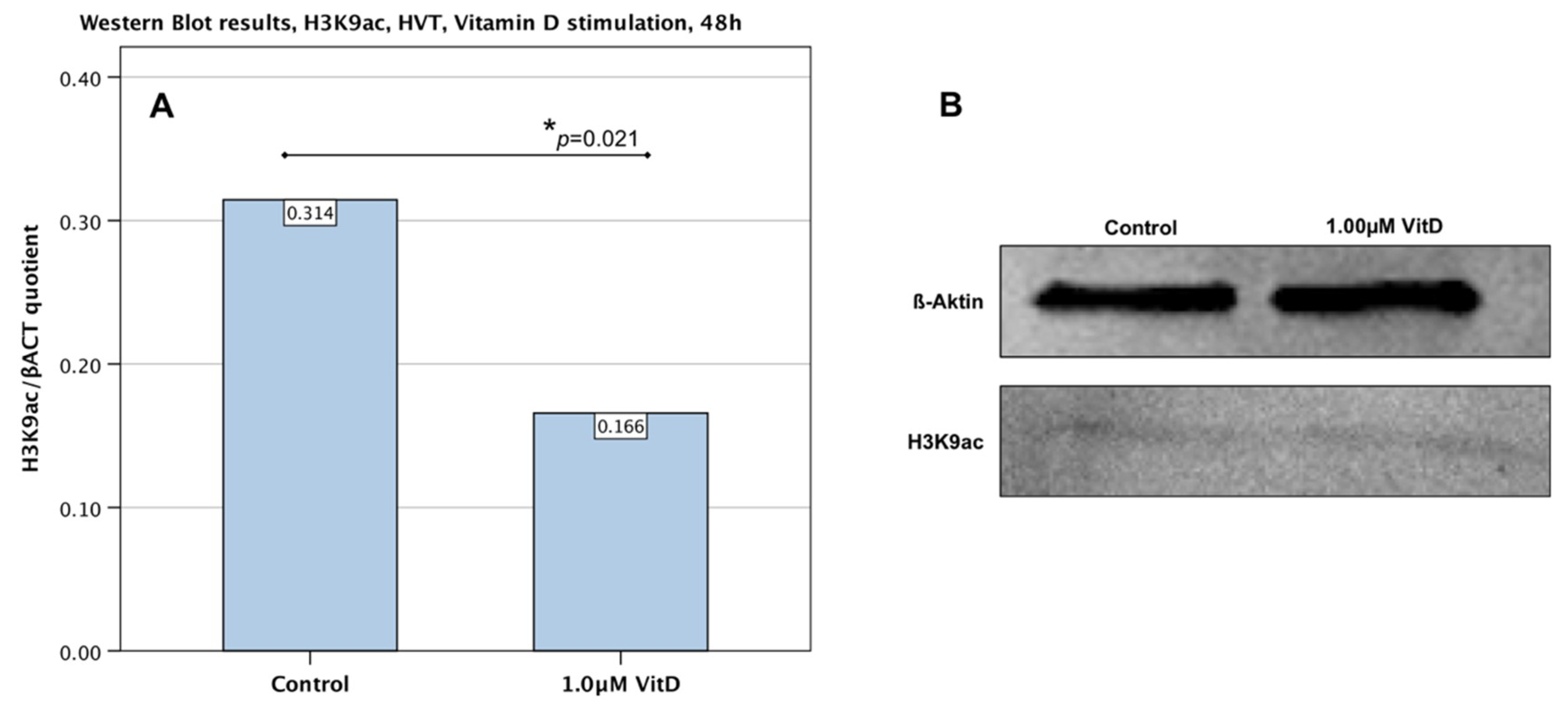 Ijms 19 04061 g004 Ijms 19 04061 g004