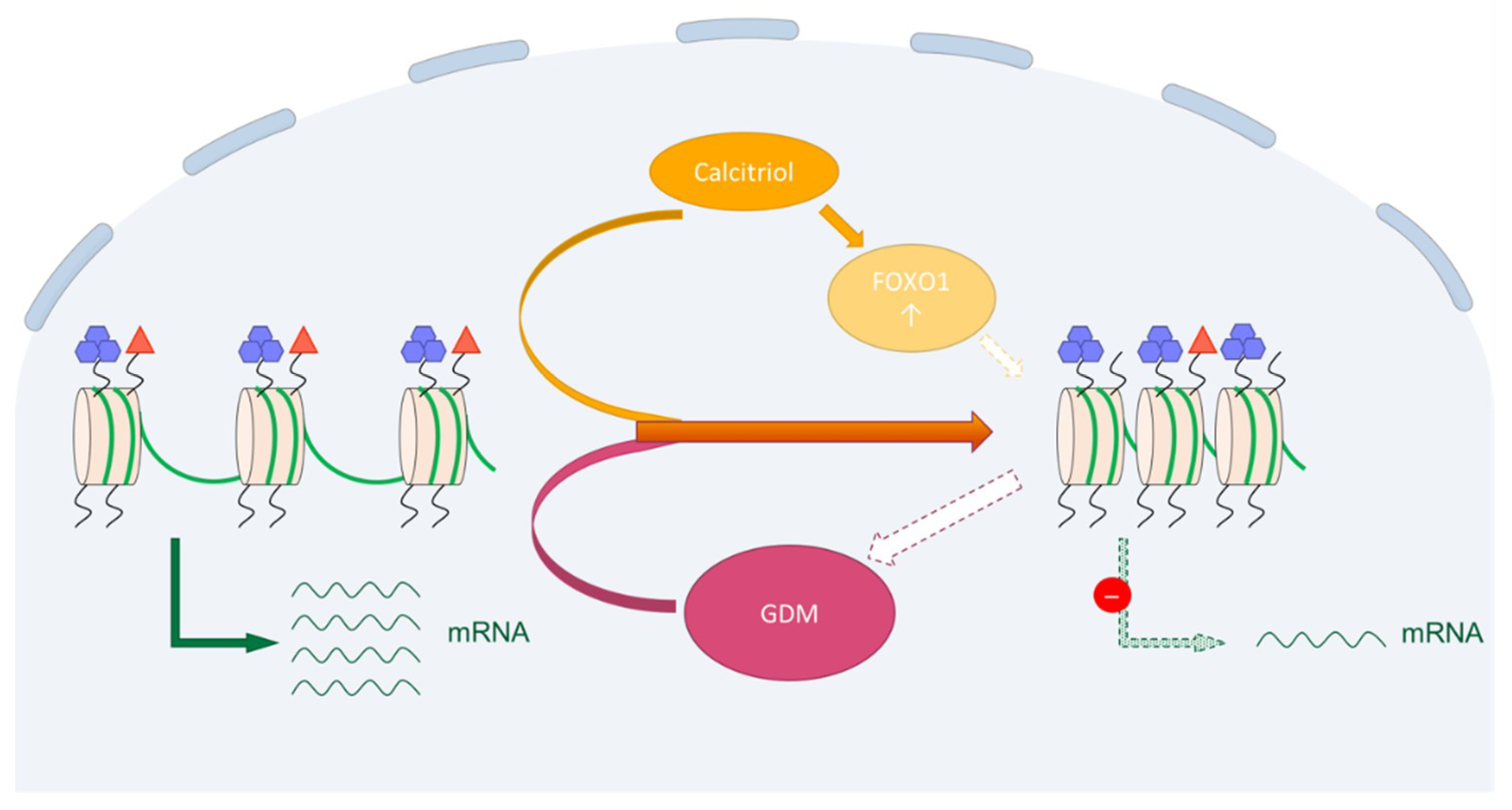 Ijms 19 04061 g005 Ijms 19 04061 g005