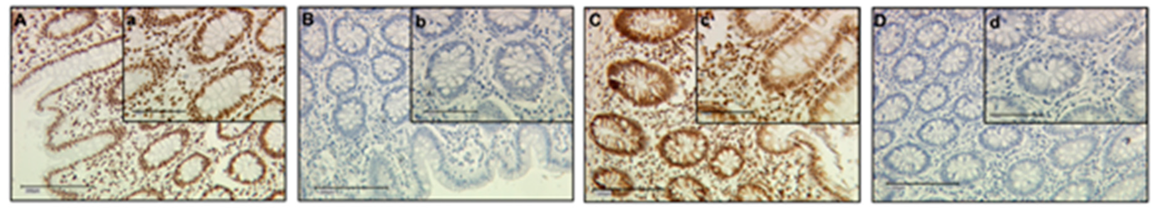 Ijms 19 04061 g006 Ijms 19 04061 g006