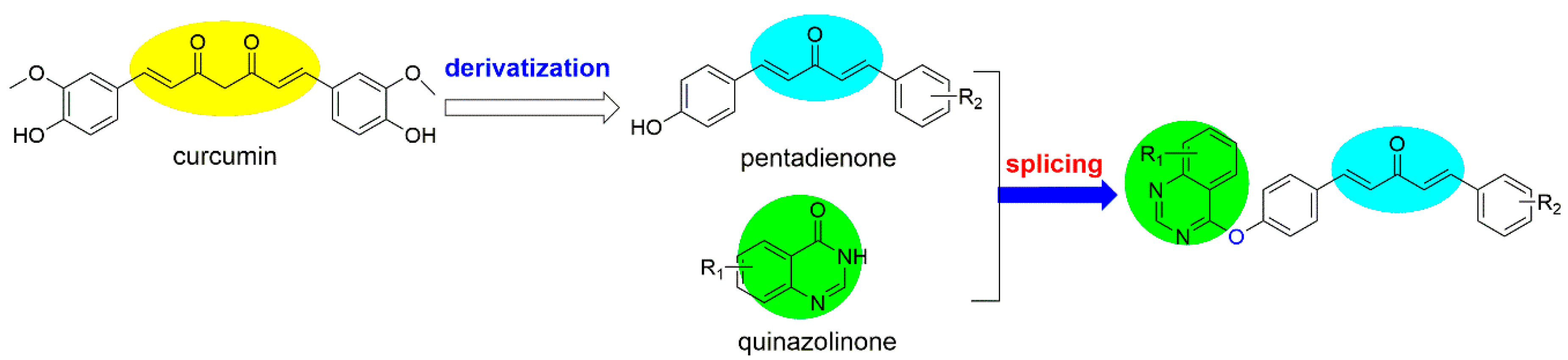 Ijms 19 04065 g001 Ijms 19 04065 g001