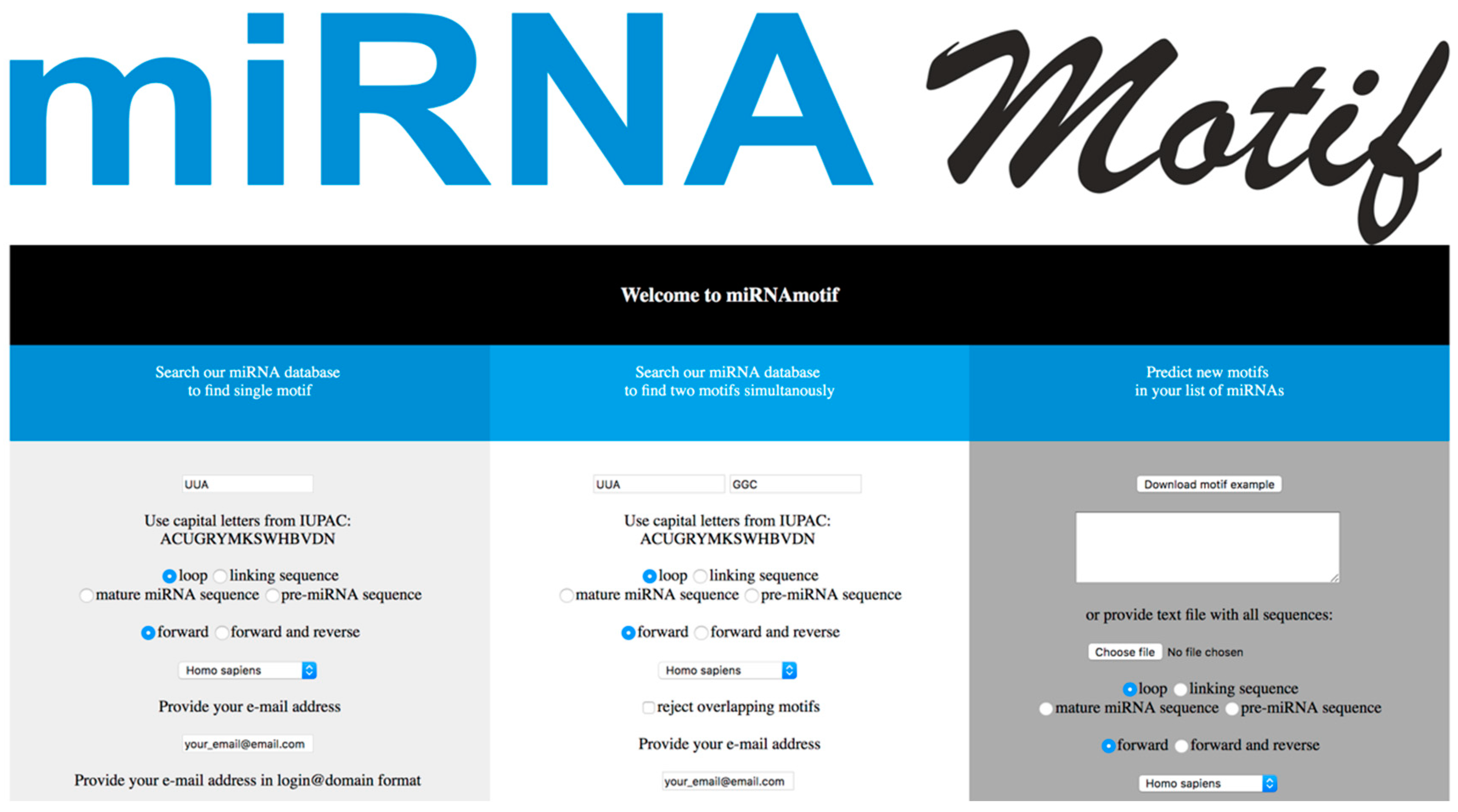 Ijms 19 04075 g002 Ijms 19 04075 g002