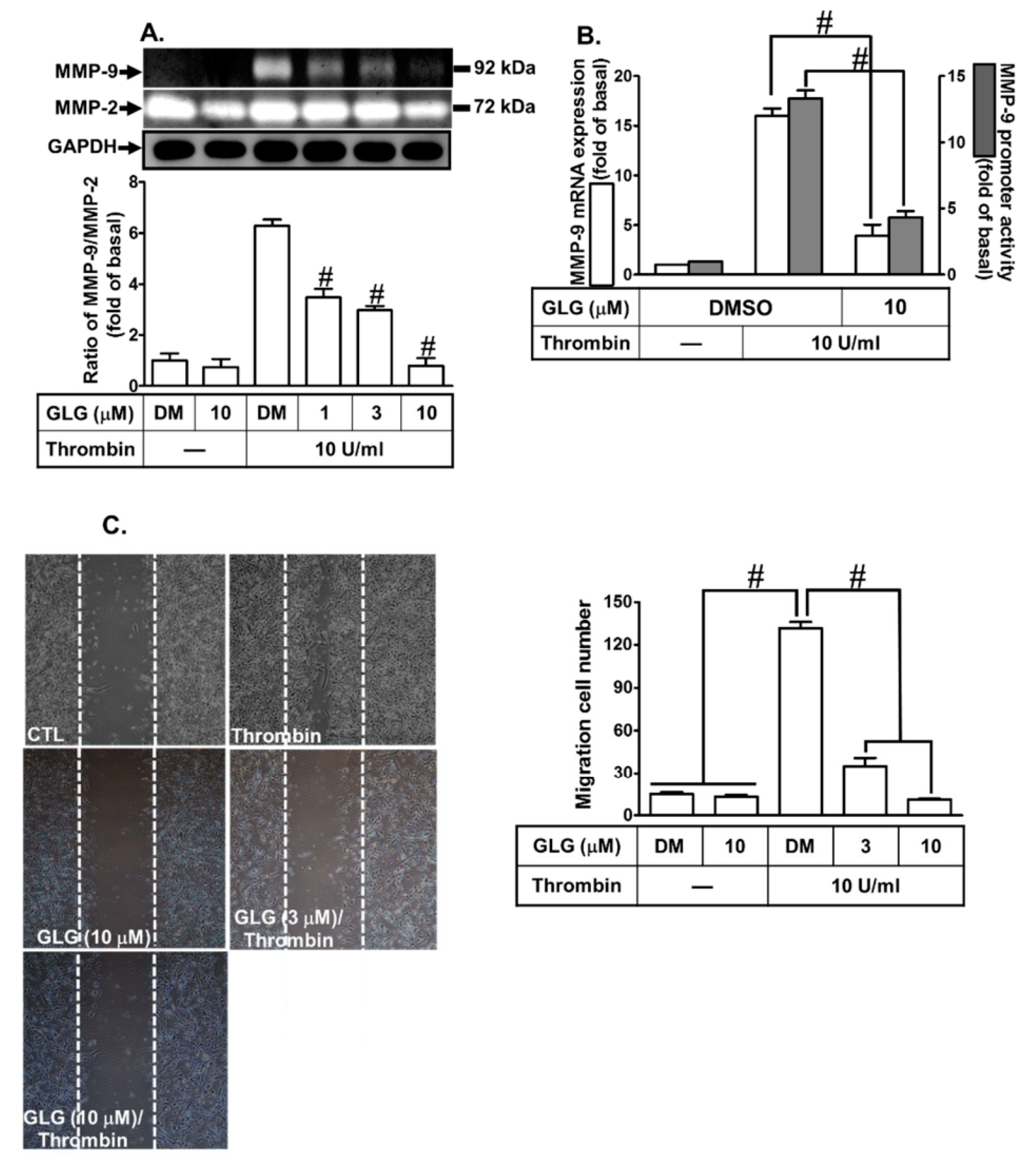 Ijms 19 04084 g001 Ijms 19 04084 g001