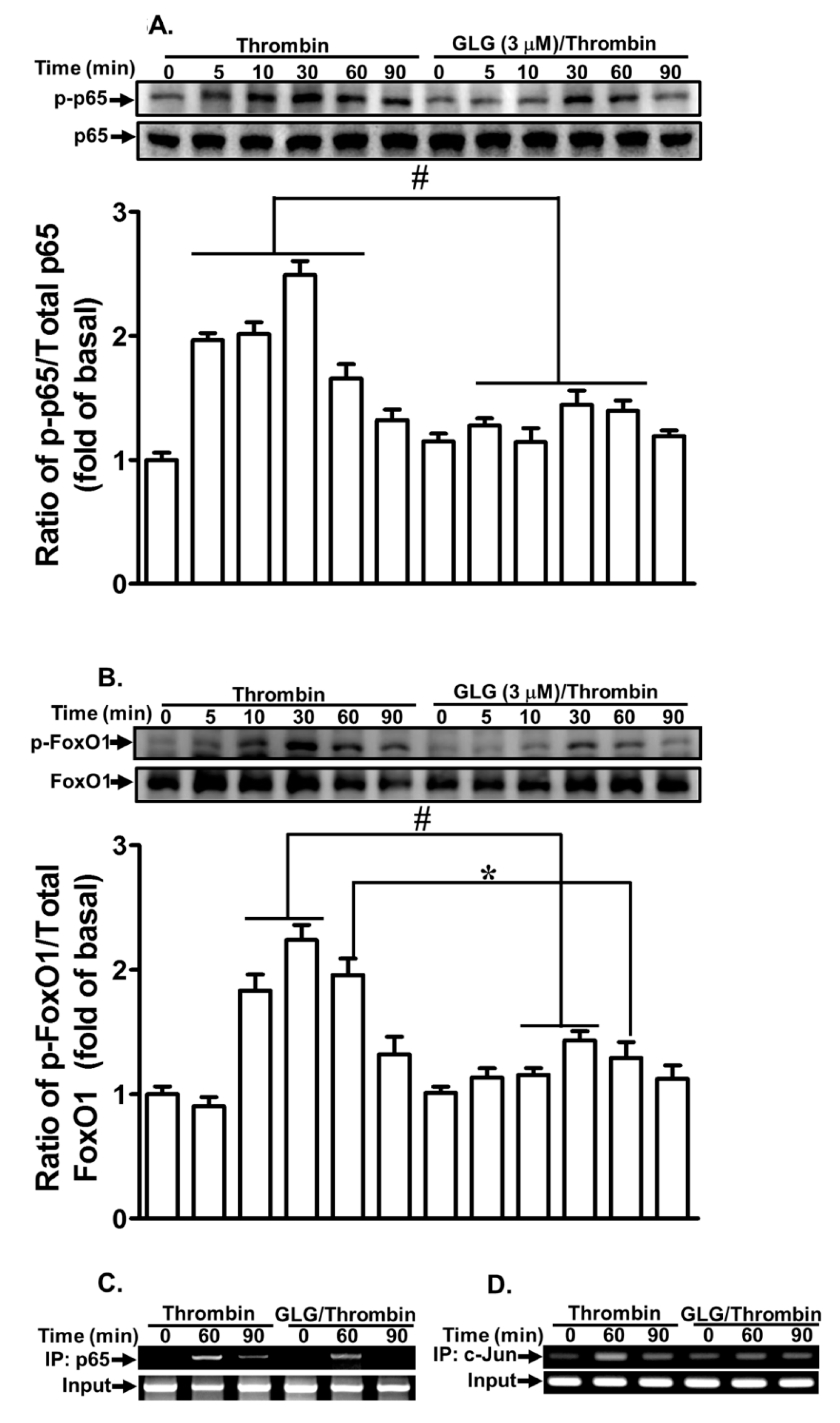 Ijms 19 04084 g006 Ijms 19 04084 g006