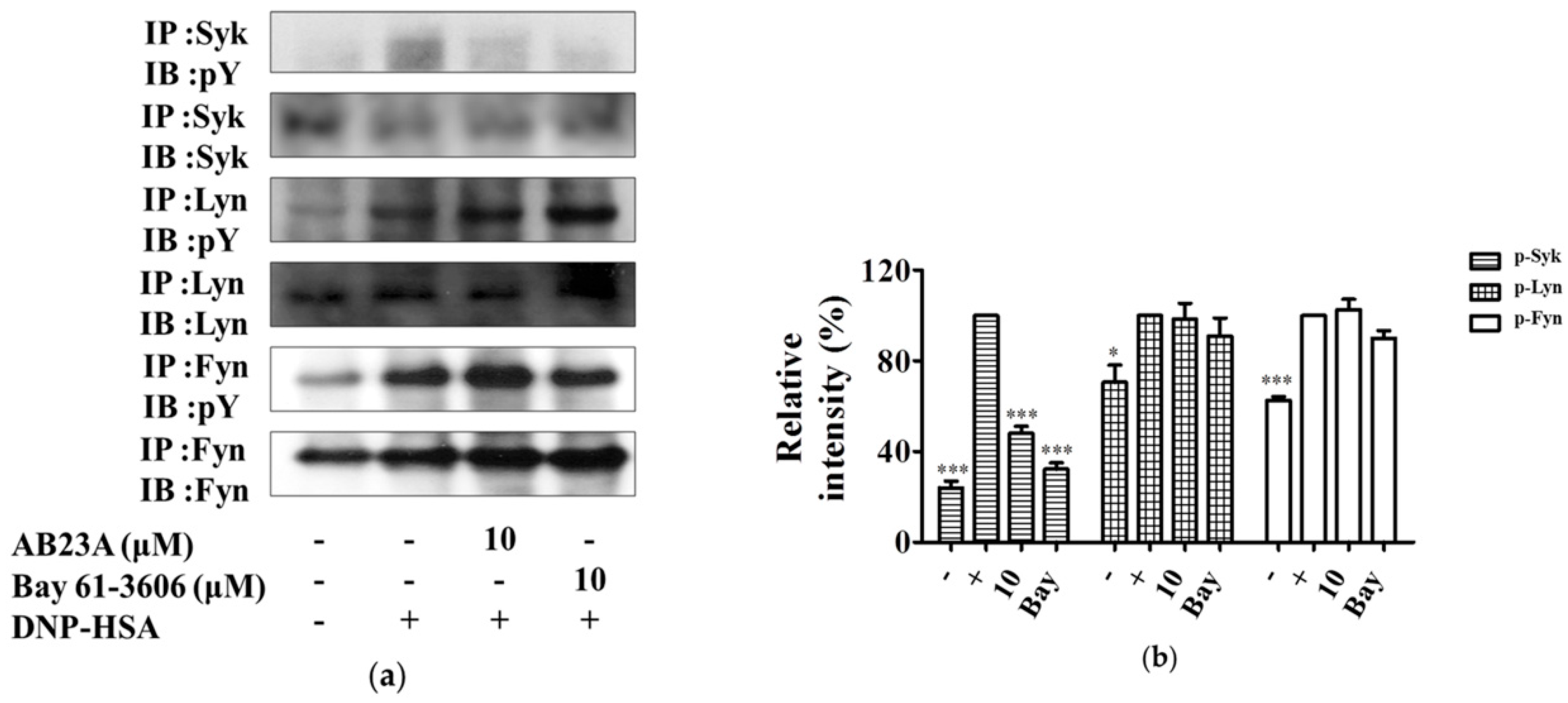 Ijms 19 04092 g004 Ijms 19 04092 g004
