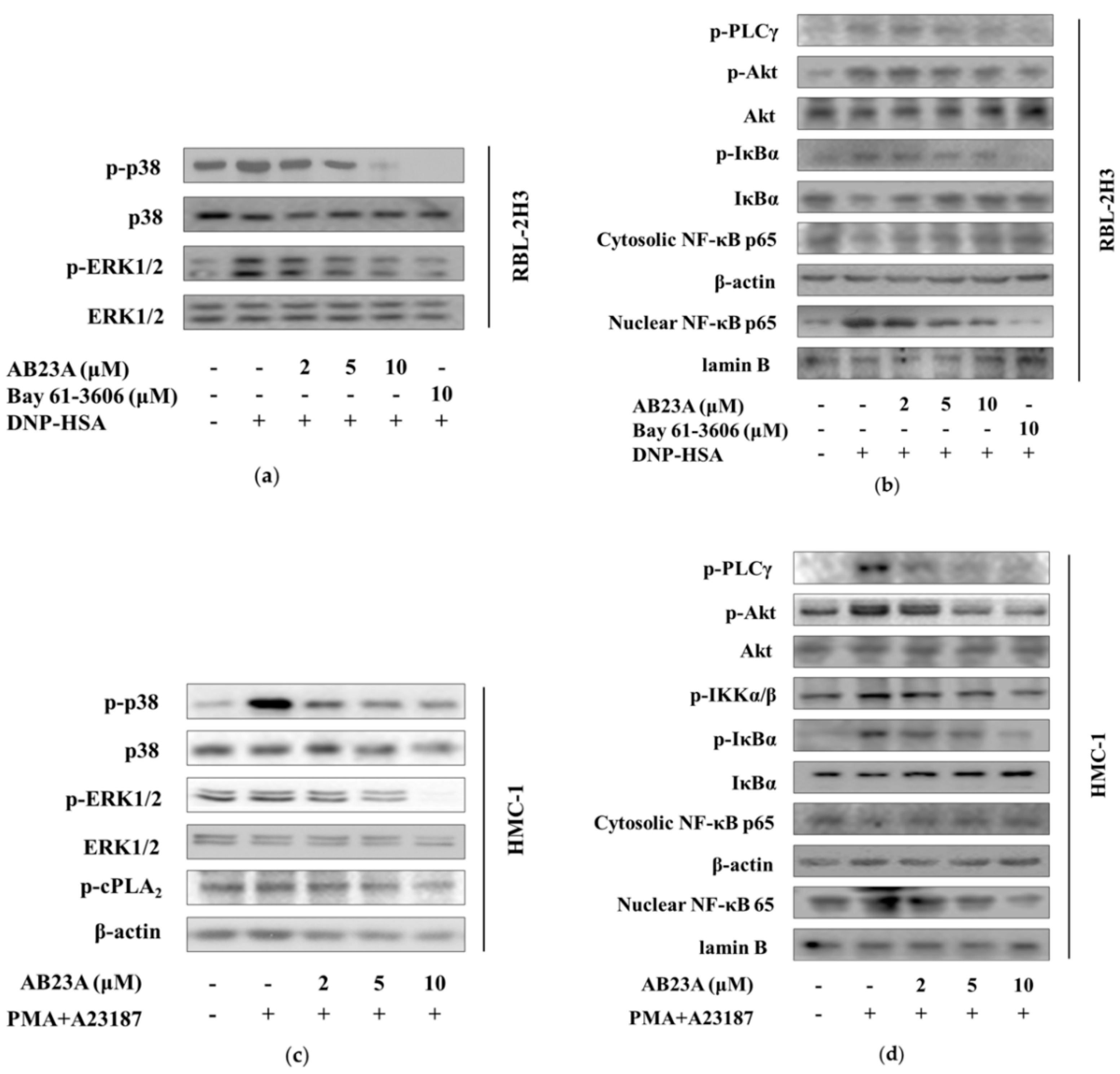 Ijms 19 04092 g005 Ijms 19 04092 g005
