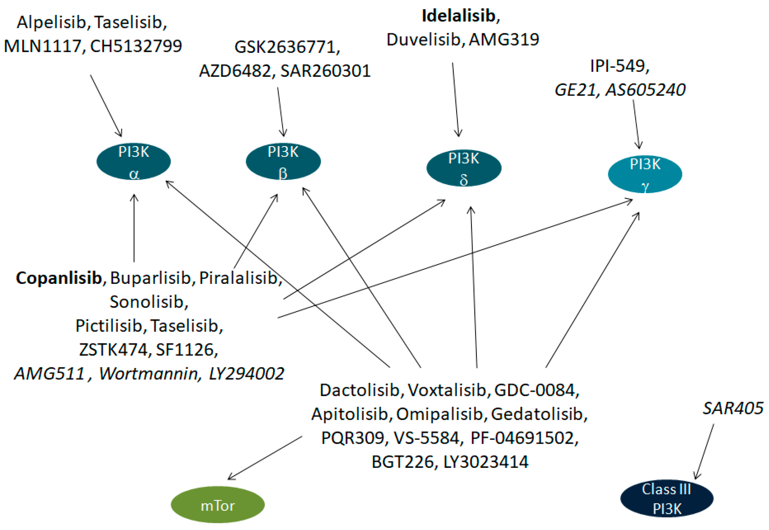 Ijms 19 04098 g001 Ijms 19 04098 g001