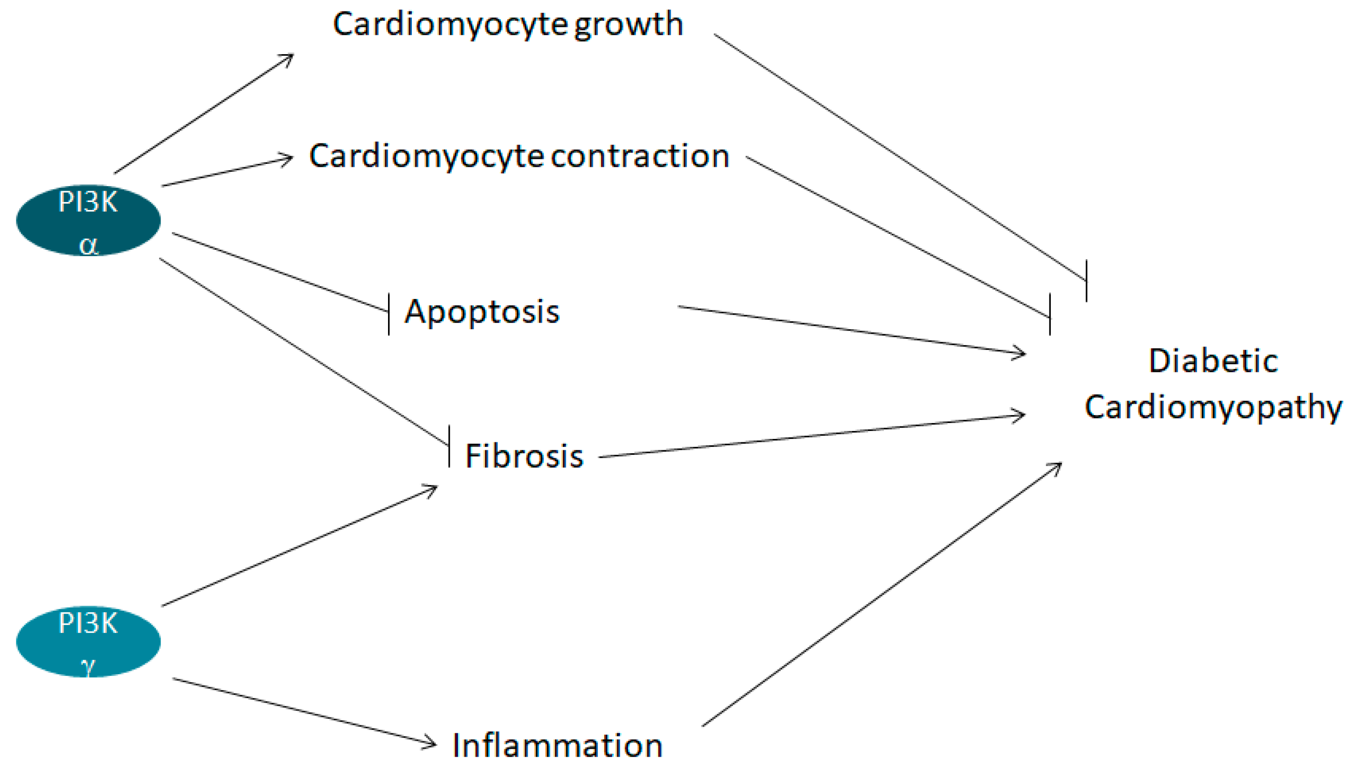 Ijms 19 04098 g003 Ijms 19 04098 g003