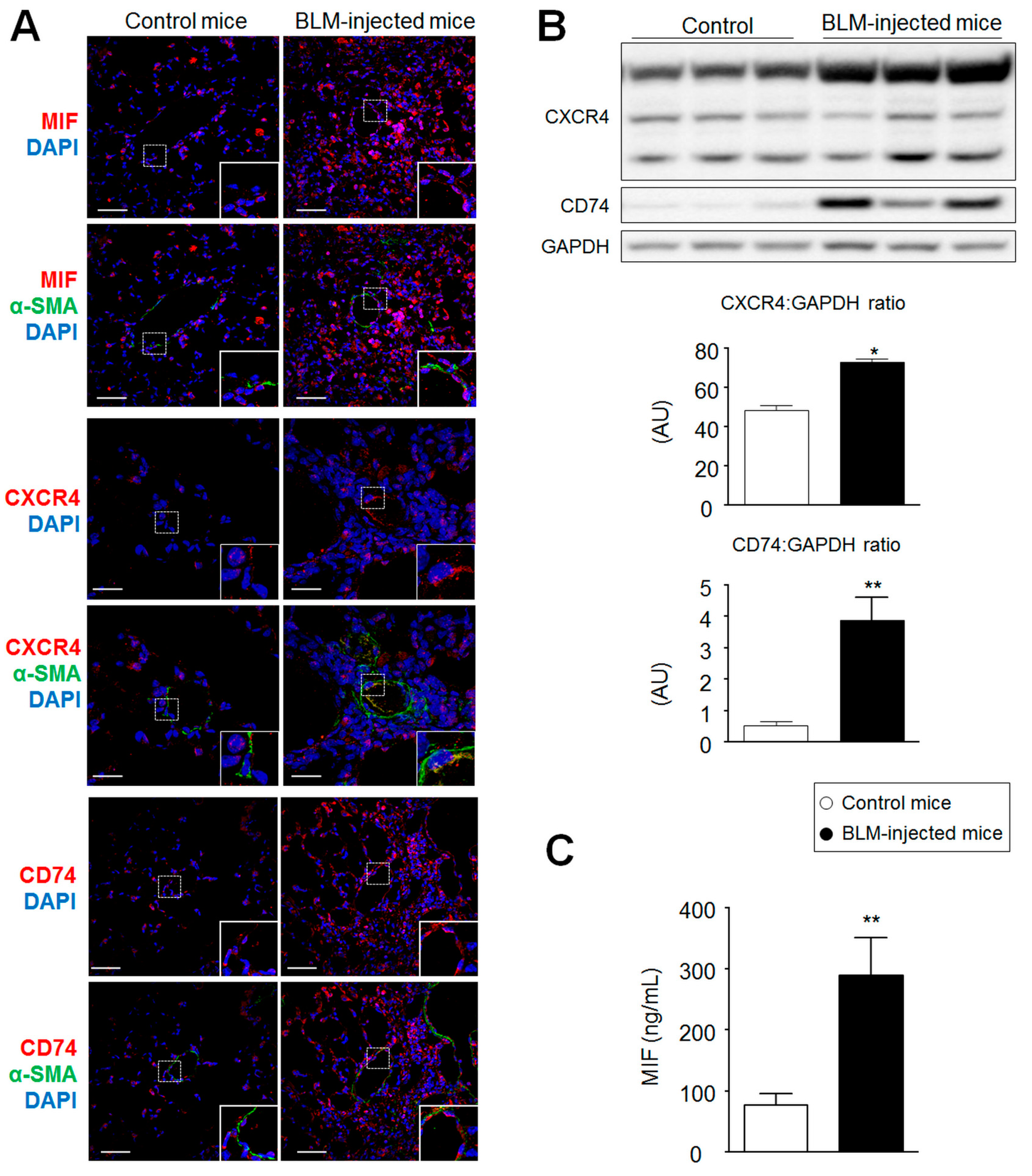Ijms 19 04105 g002 Ijms 19 04105 g002