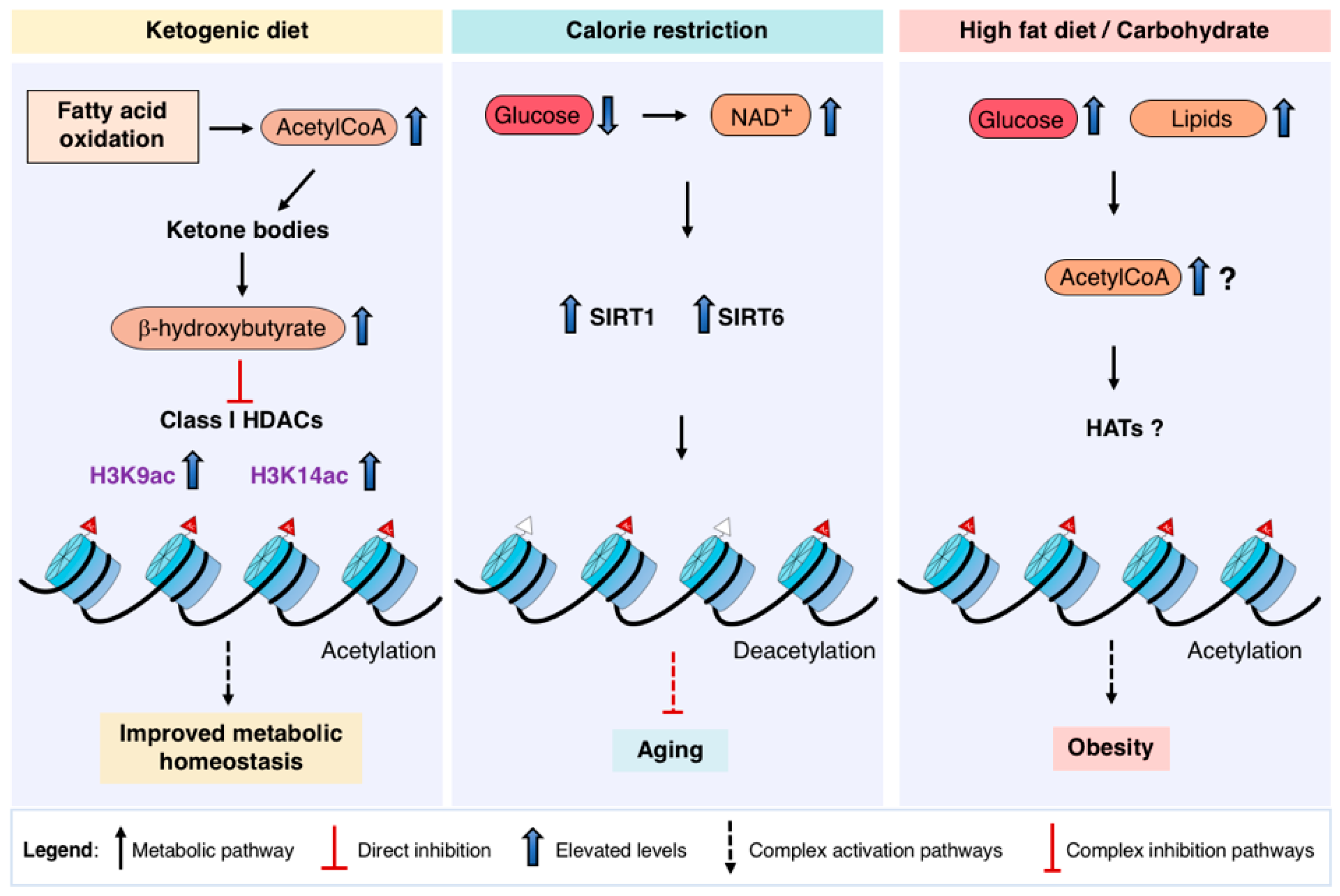 Ijms 19 04108 g002 Ijms 19 04108 g002