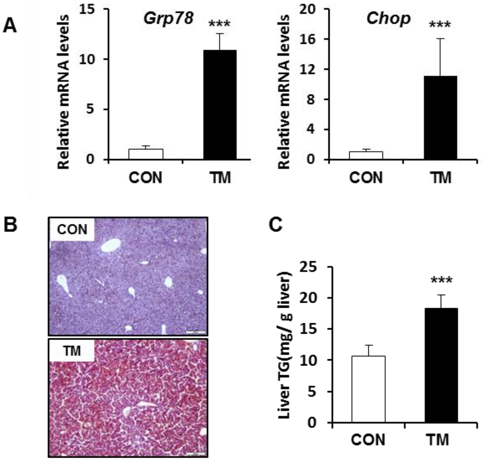 Ijms 19 04114 g001 Ijms 19 04114 g001