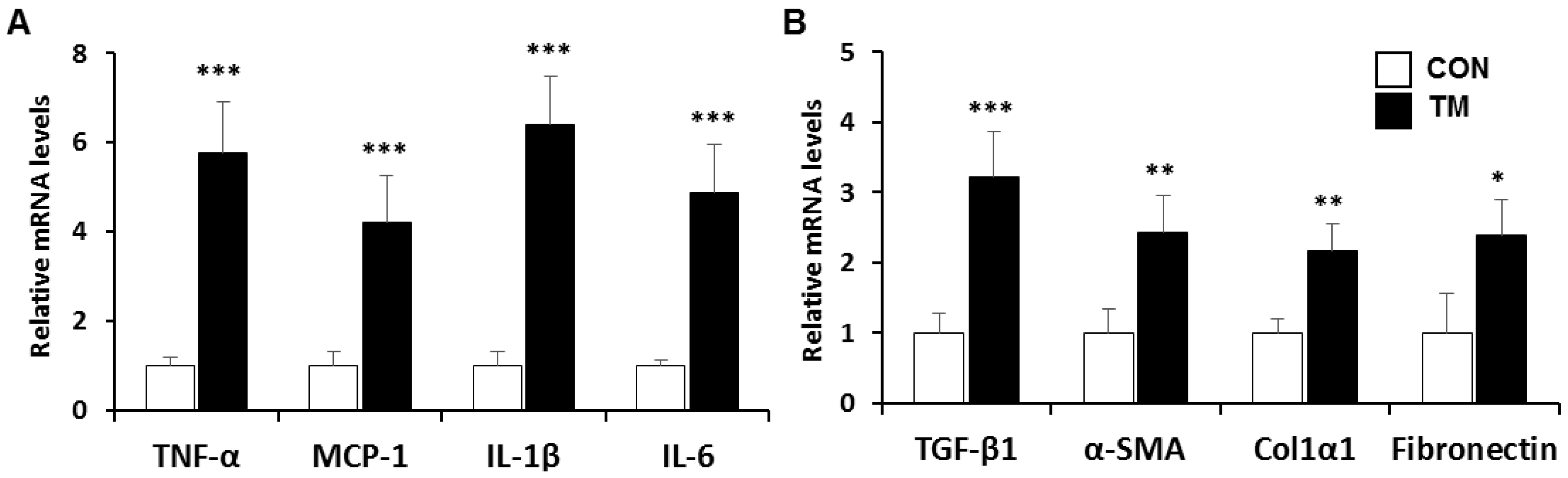 Ijms 19 04114 g002 Ijms 19 04114 g002