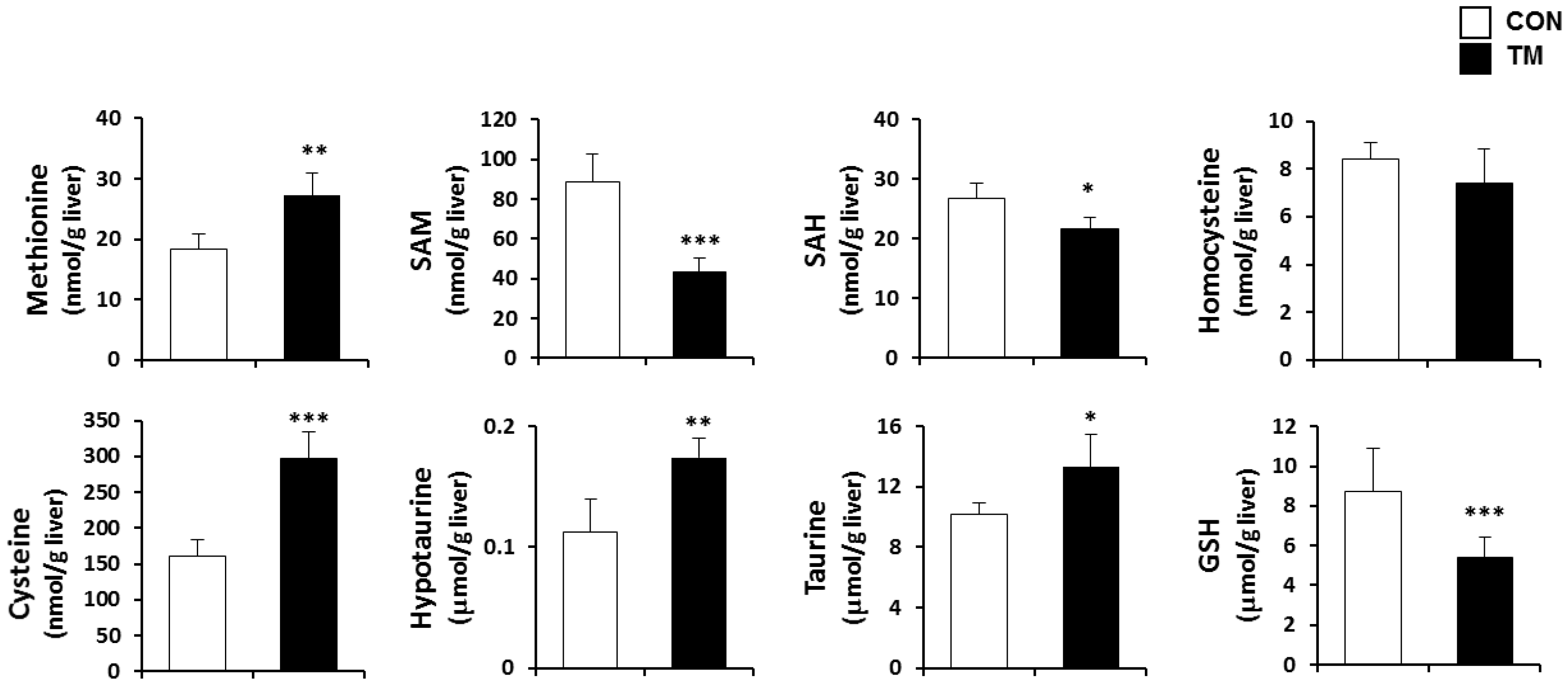Ijms 19 04114 g004 Ijms 19 04114 g004