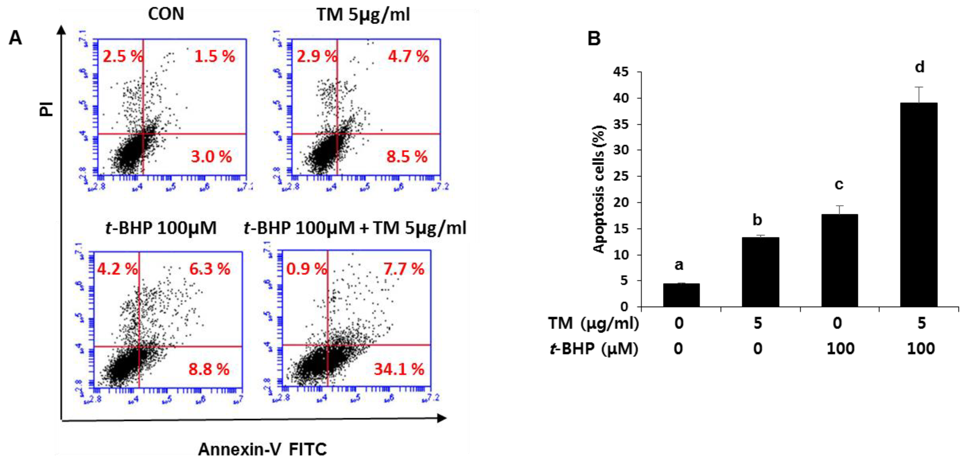 Ijms 19 04114 g008 Ijms 19 04114 g008