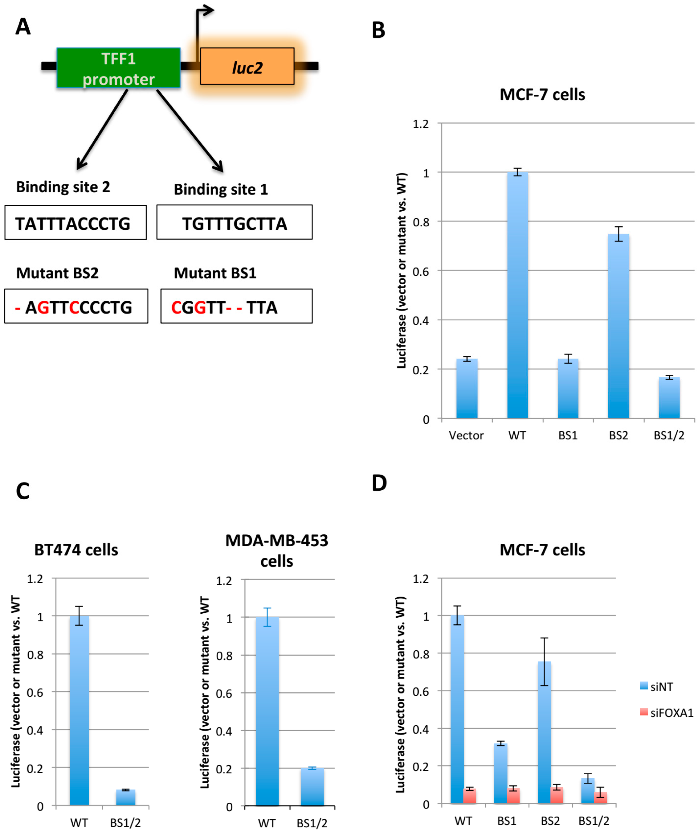 Ijms 19 04123 g001 Ijms 19 04123 g001