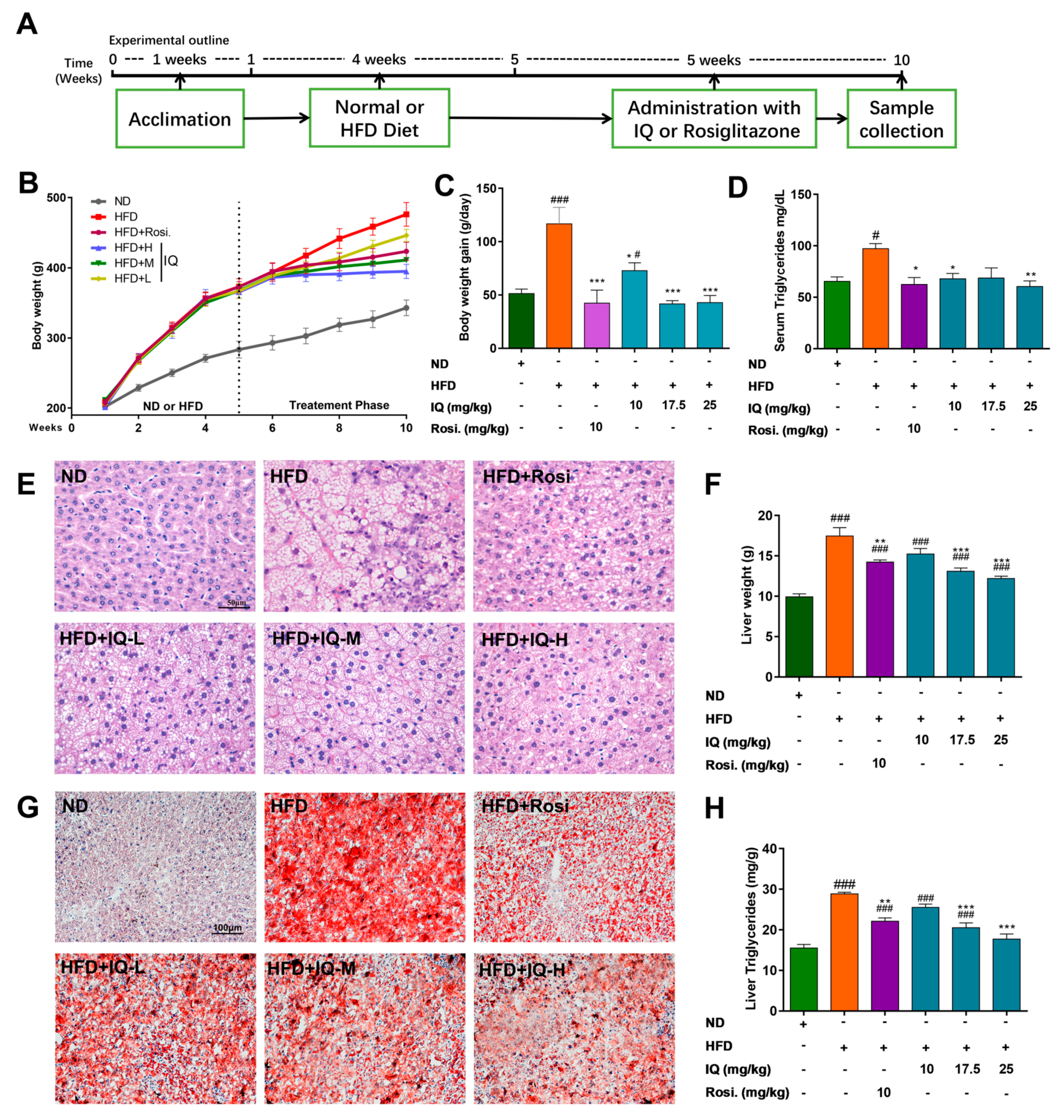 Ijms 19 04126 g001 Ijms 19 04126 g001