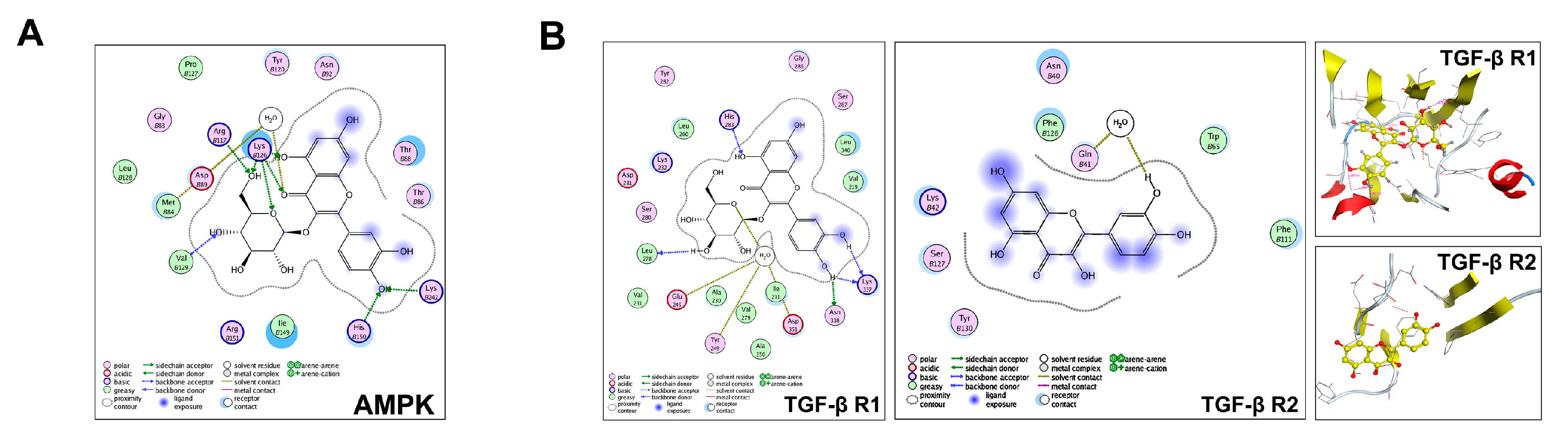 Ijms 19 04126 g005 Ijms 19 04126 g005