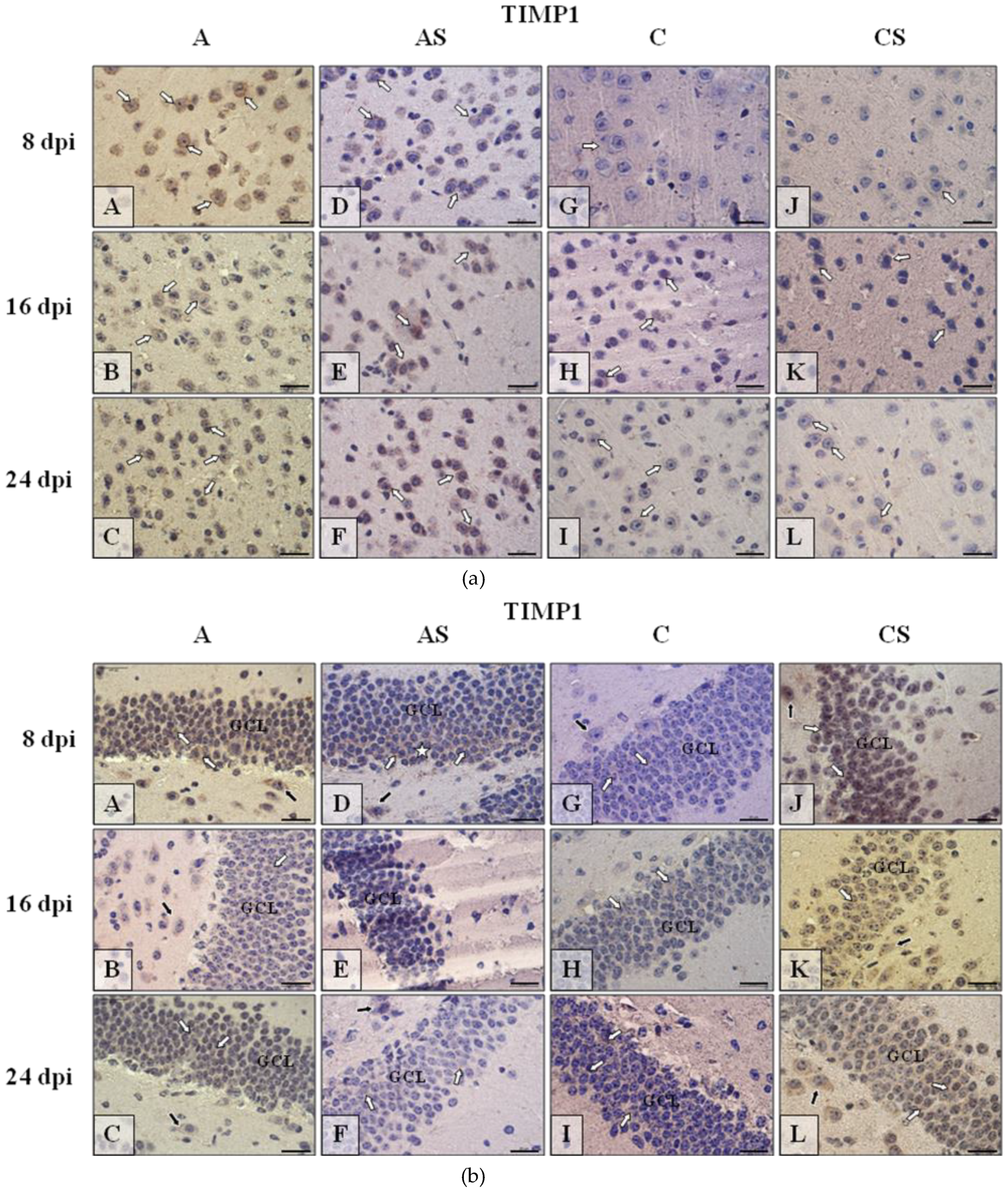 Ijms 19 04128 g007a Ijms 19 04128 g007a