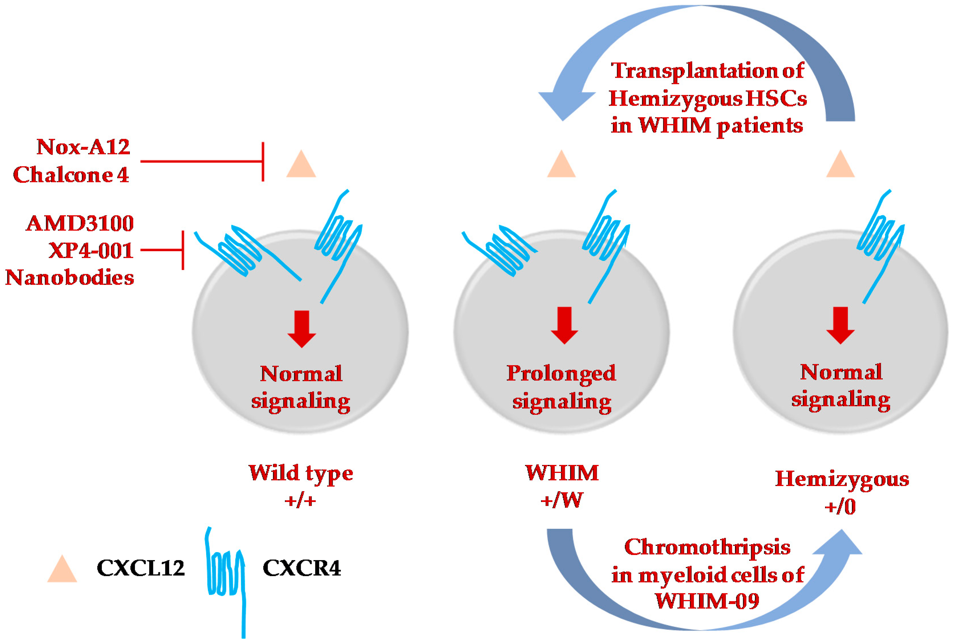 Ijms 20 00003 g002 Ijms 20 00003 g002