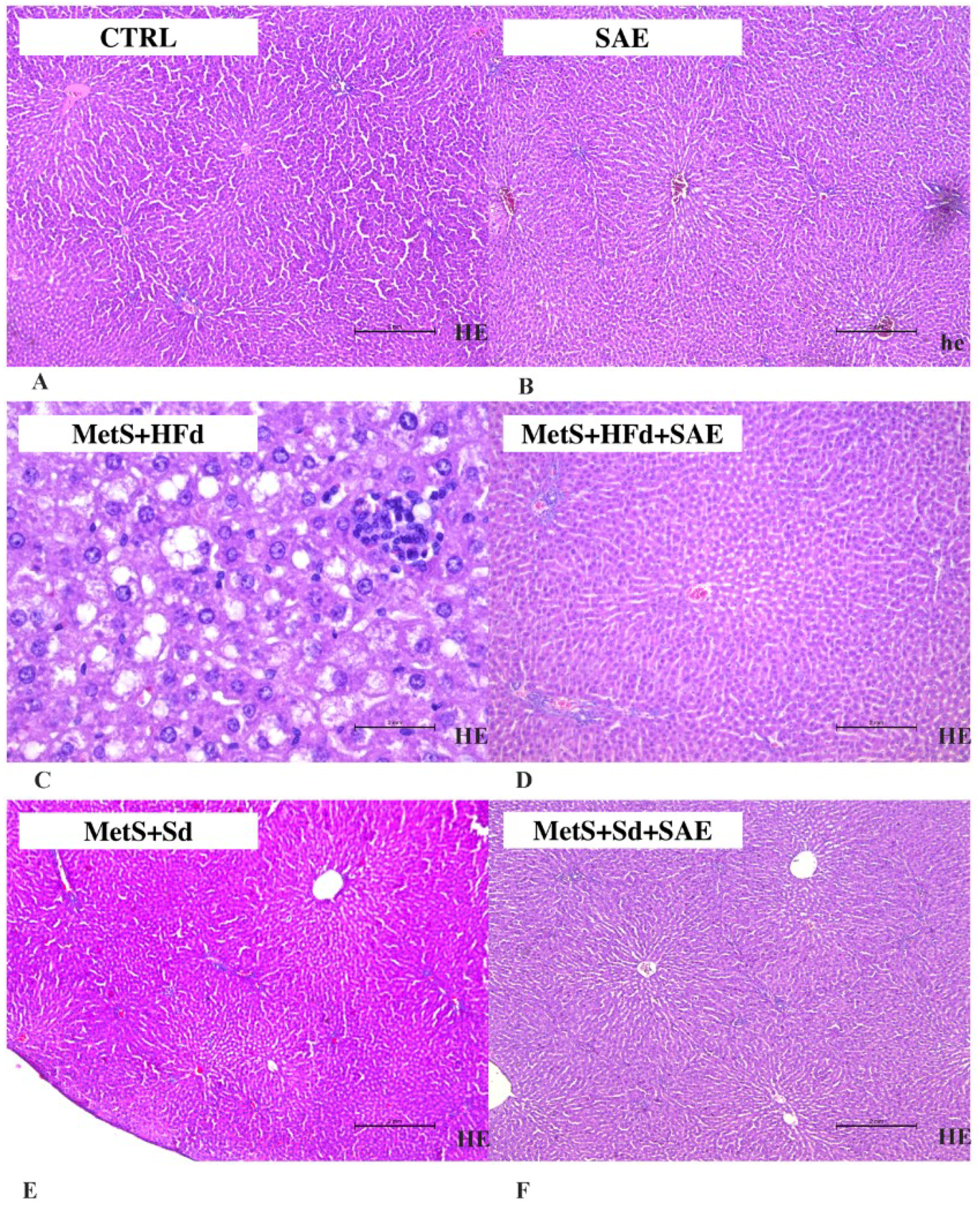 Ijms 20 00006 g007