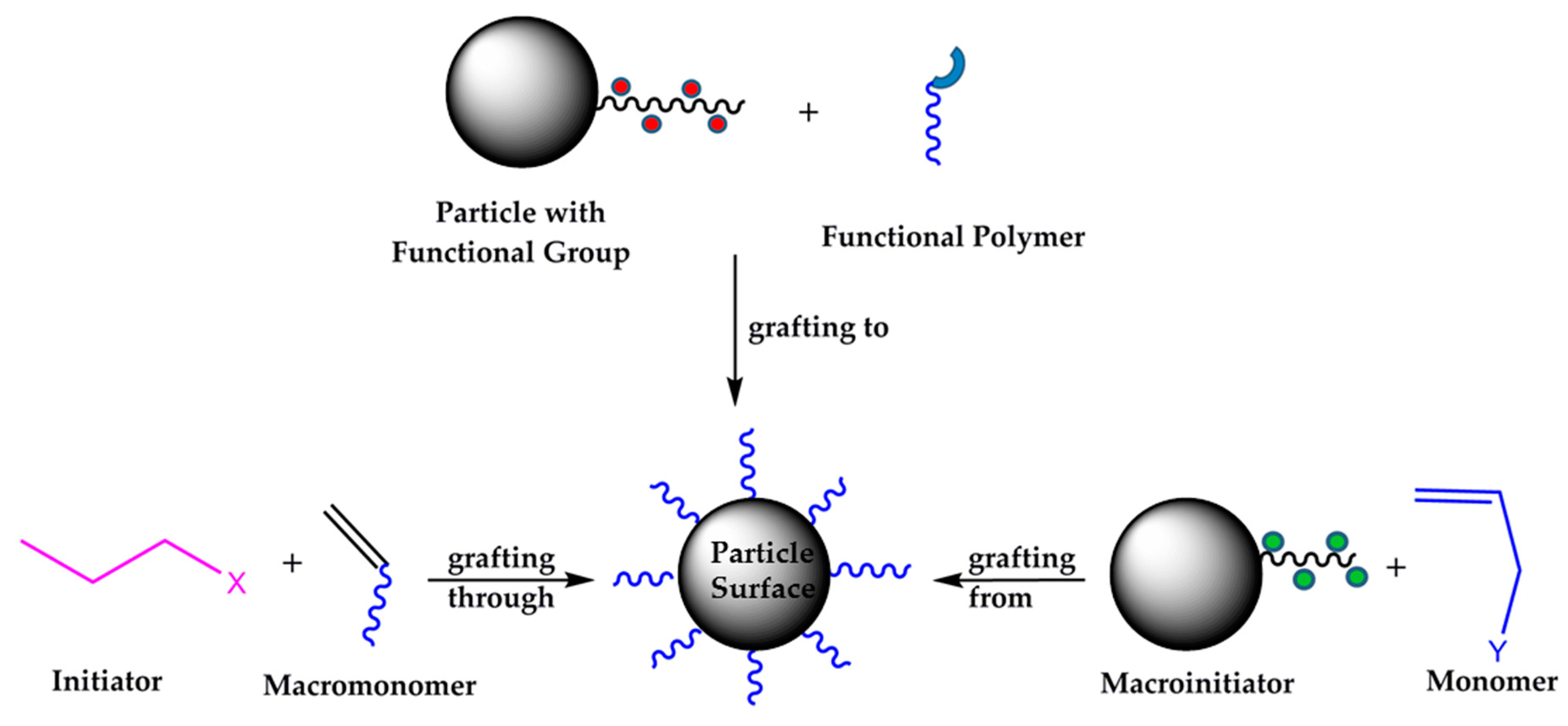 Ijms 20 00010 g001 550