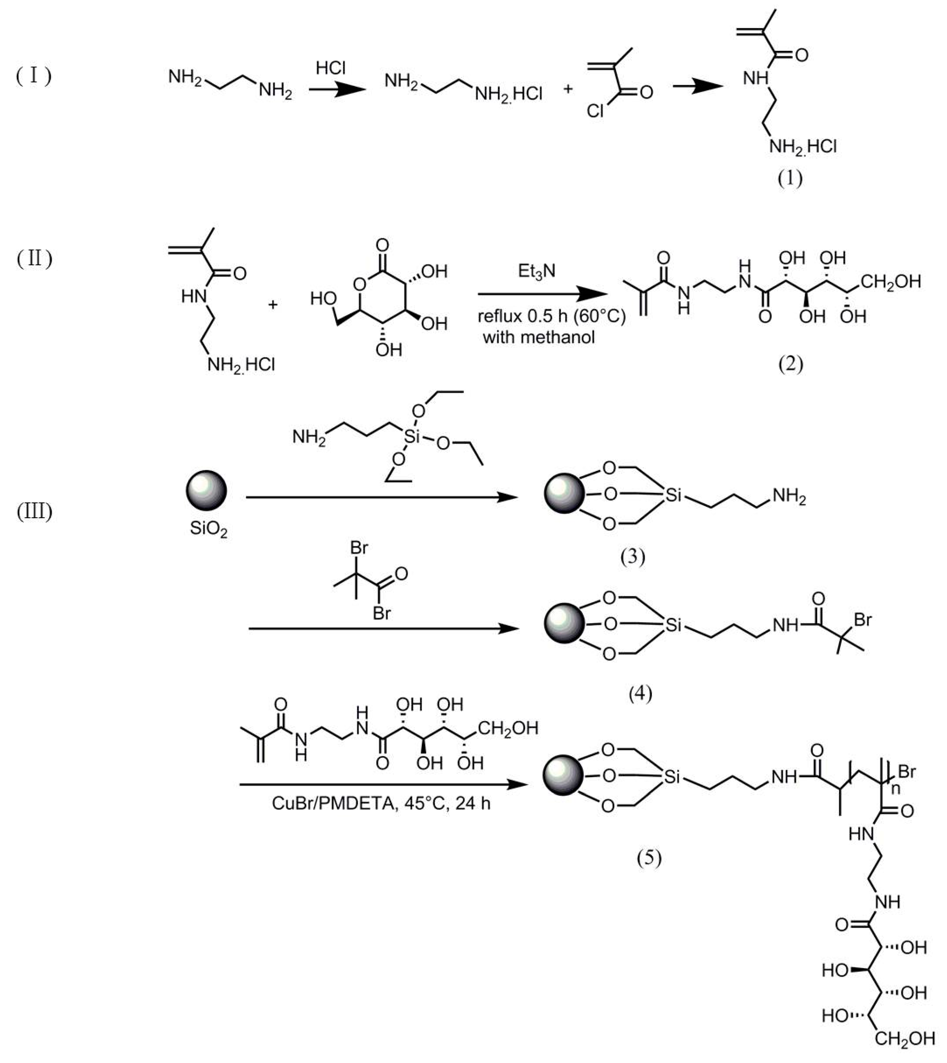 Ijms 20 00010 sch002 550